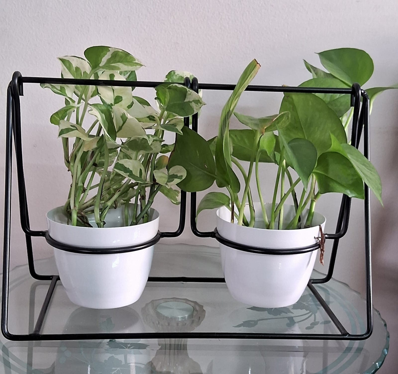 Swing dual planter set