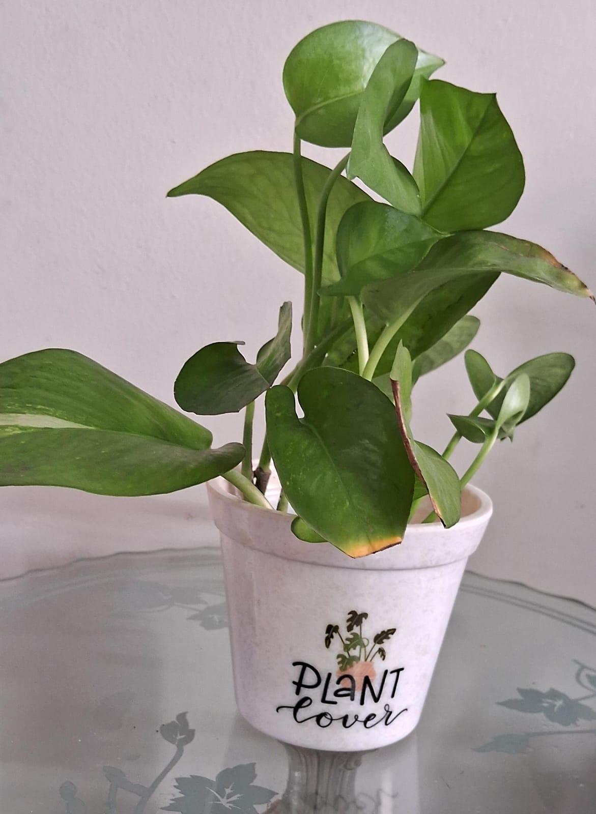 Melamine planter