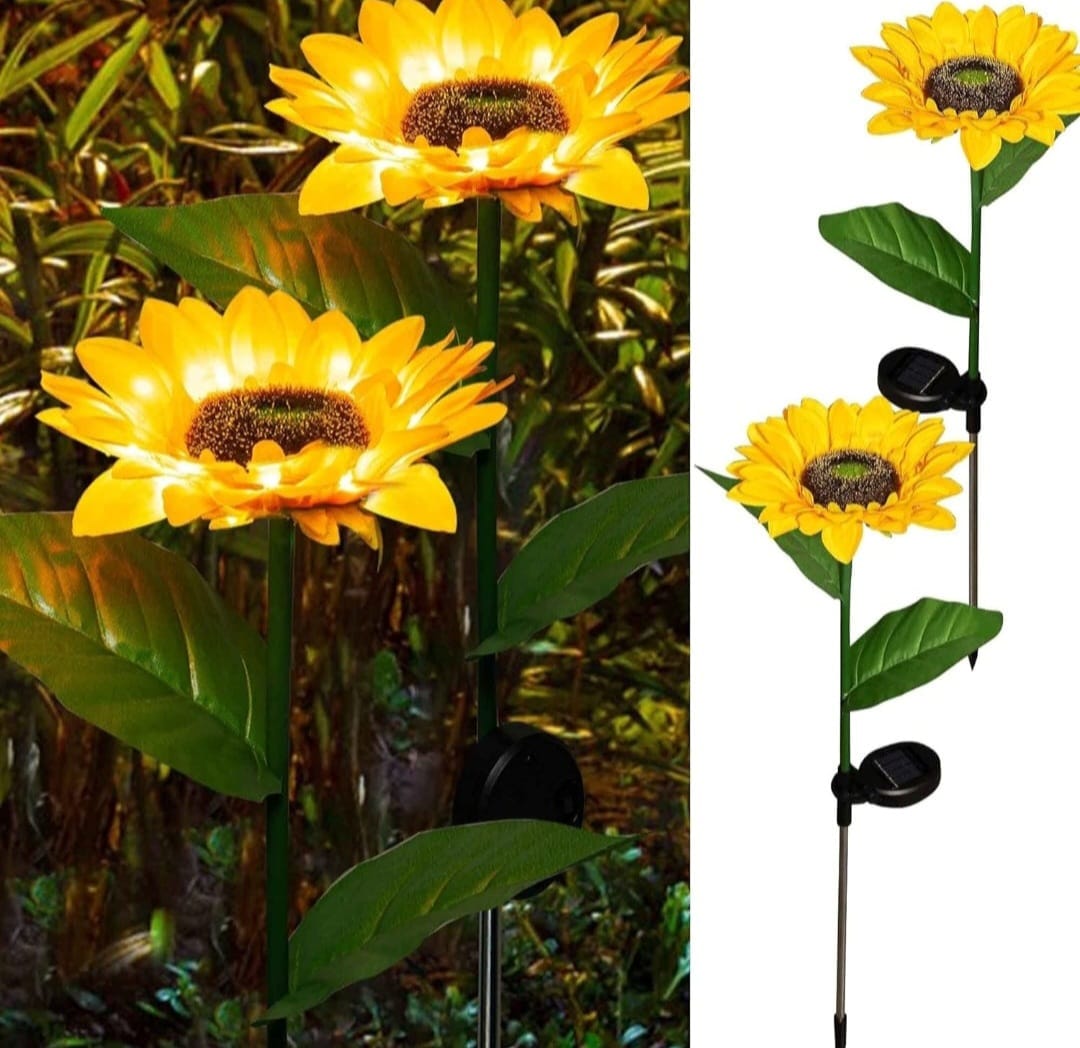 Sunflower (Pack of 2)