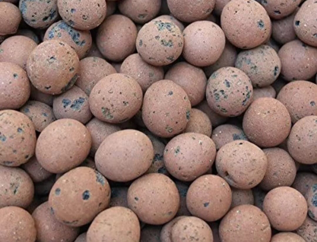 Hydroton Leca balls