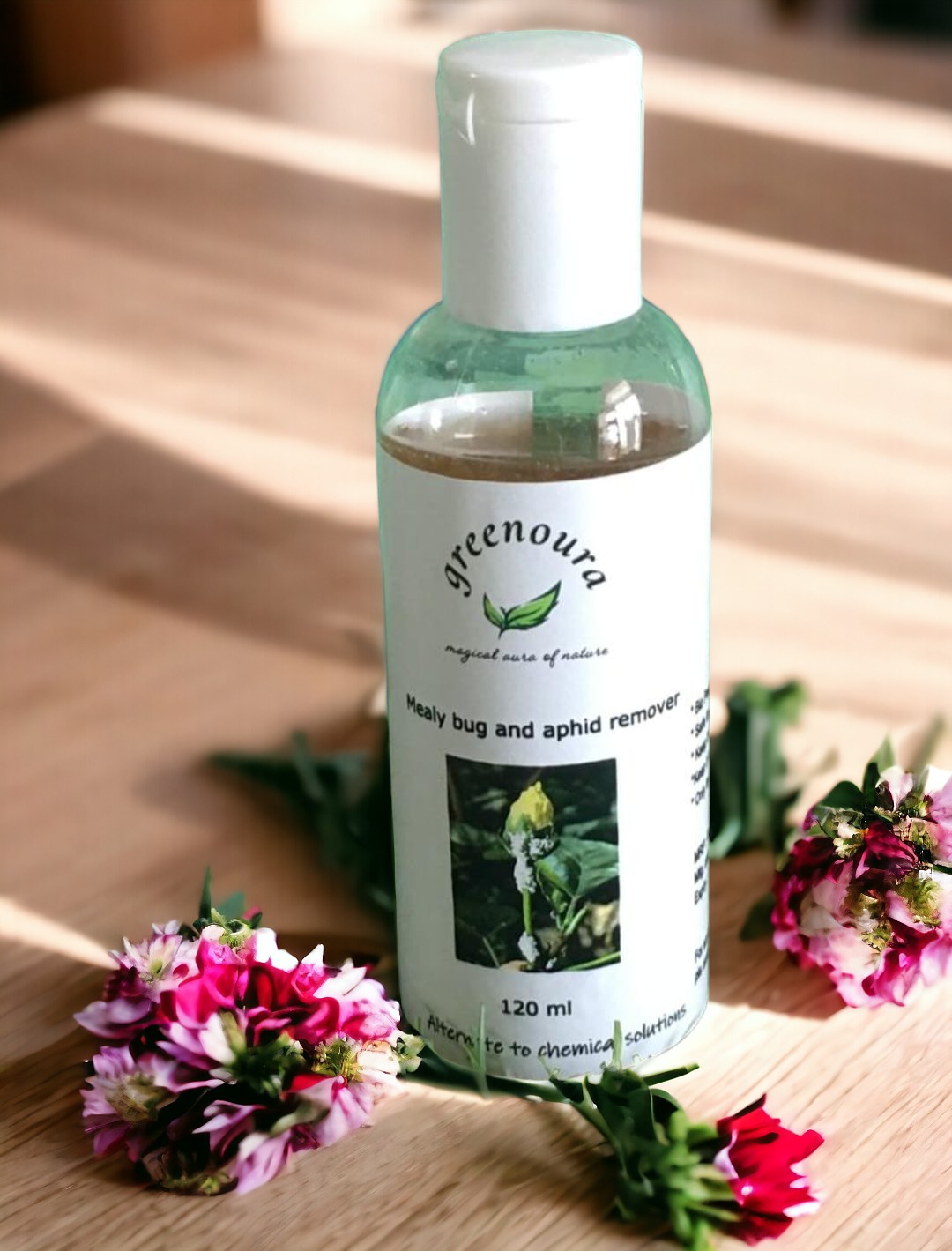 Mealy bug and aphid remover