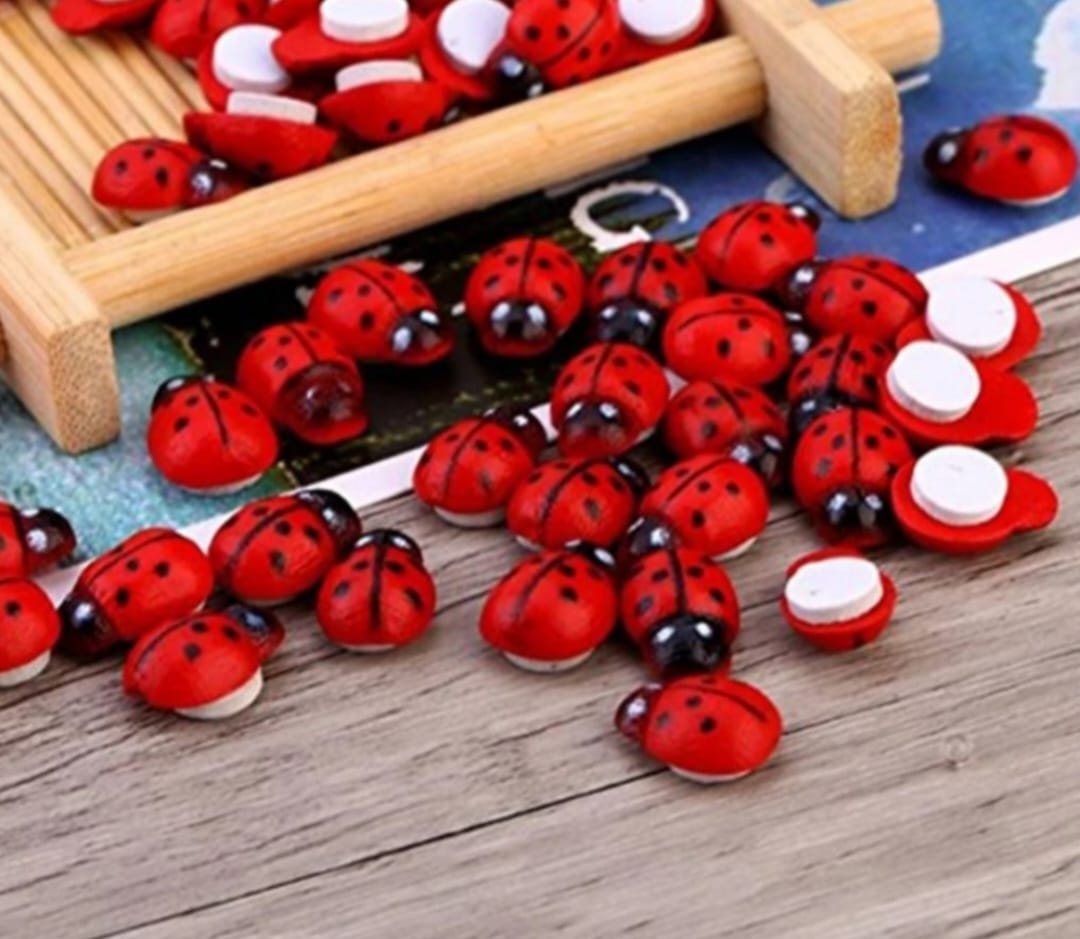 Ladybug