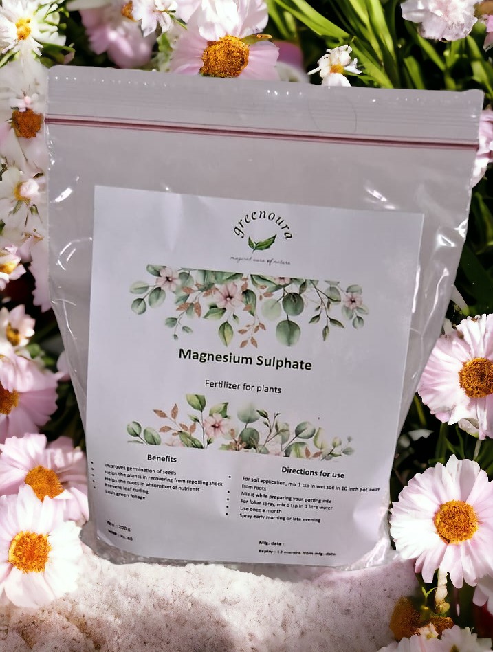 Magnesium sulphate