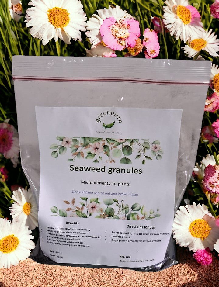 Seaweed granules
