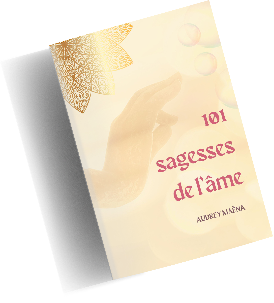 101 Sagesses de l'âme - Partenaires CANADA
