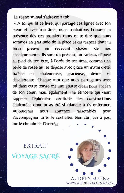 ✨Voyage Sacré, le livre oracle