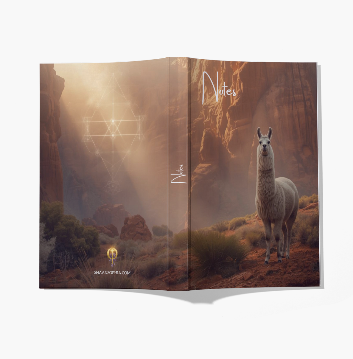 Les 3 Carnets alliés - format B5