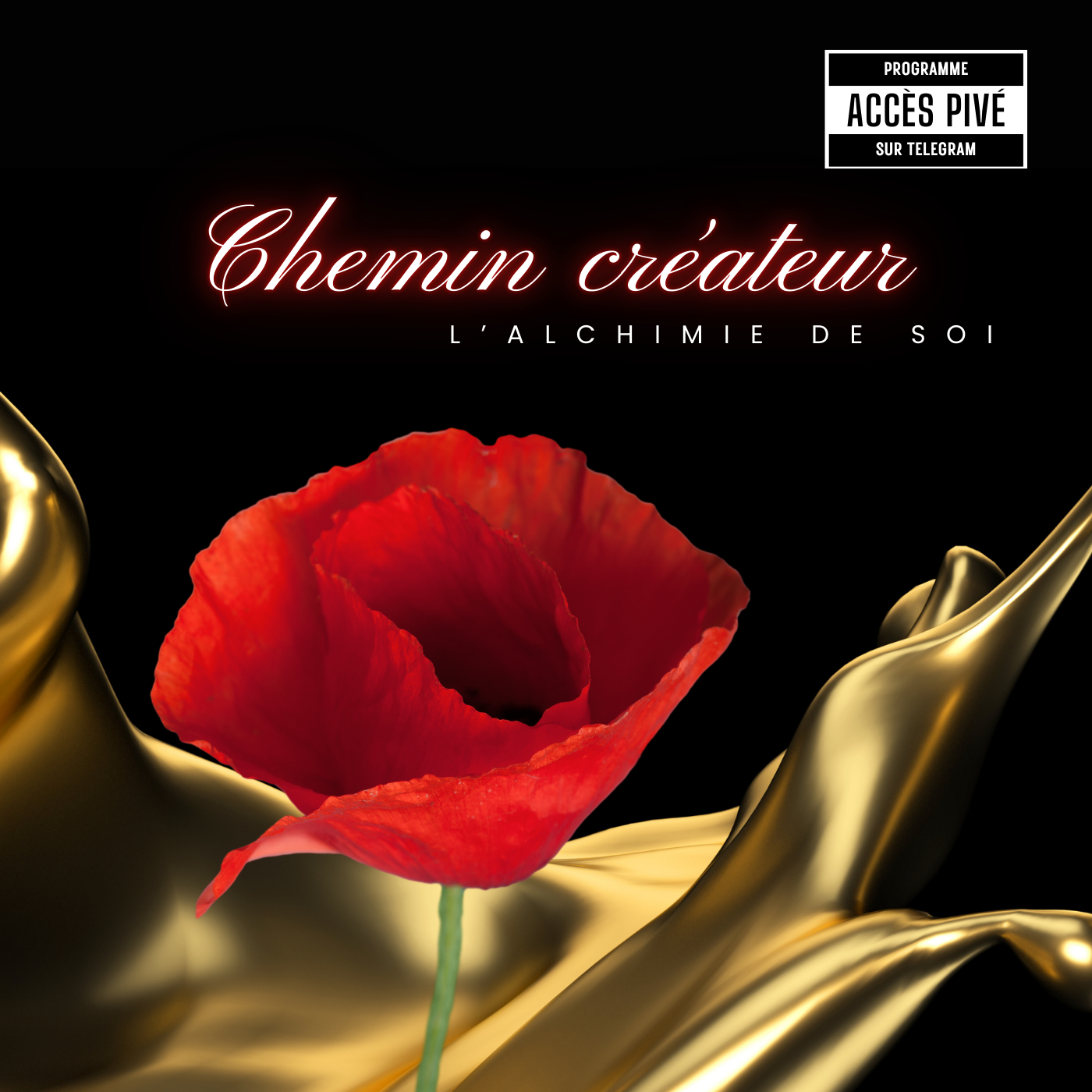 Chemin créateur, le programme de l'alchimie de soi