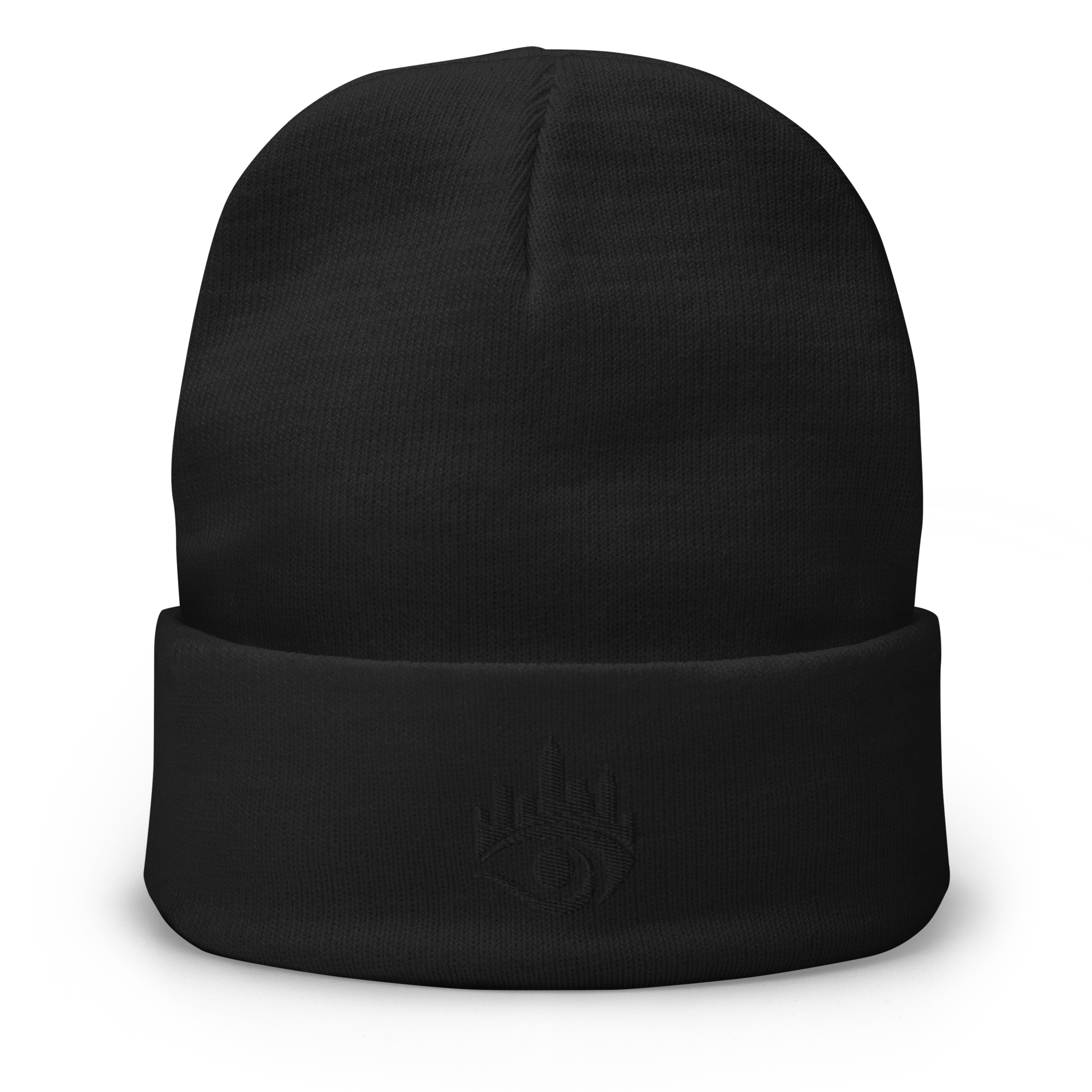 ESOCRYPT Logo Embroidered Beanie