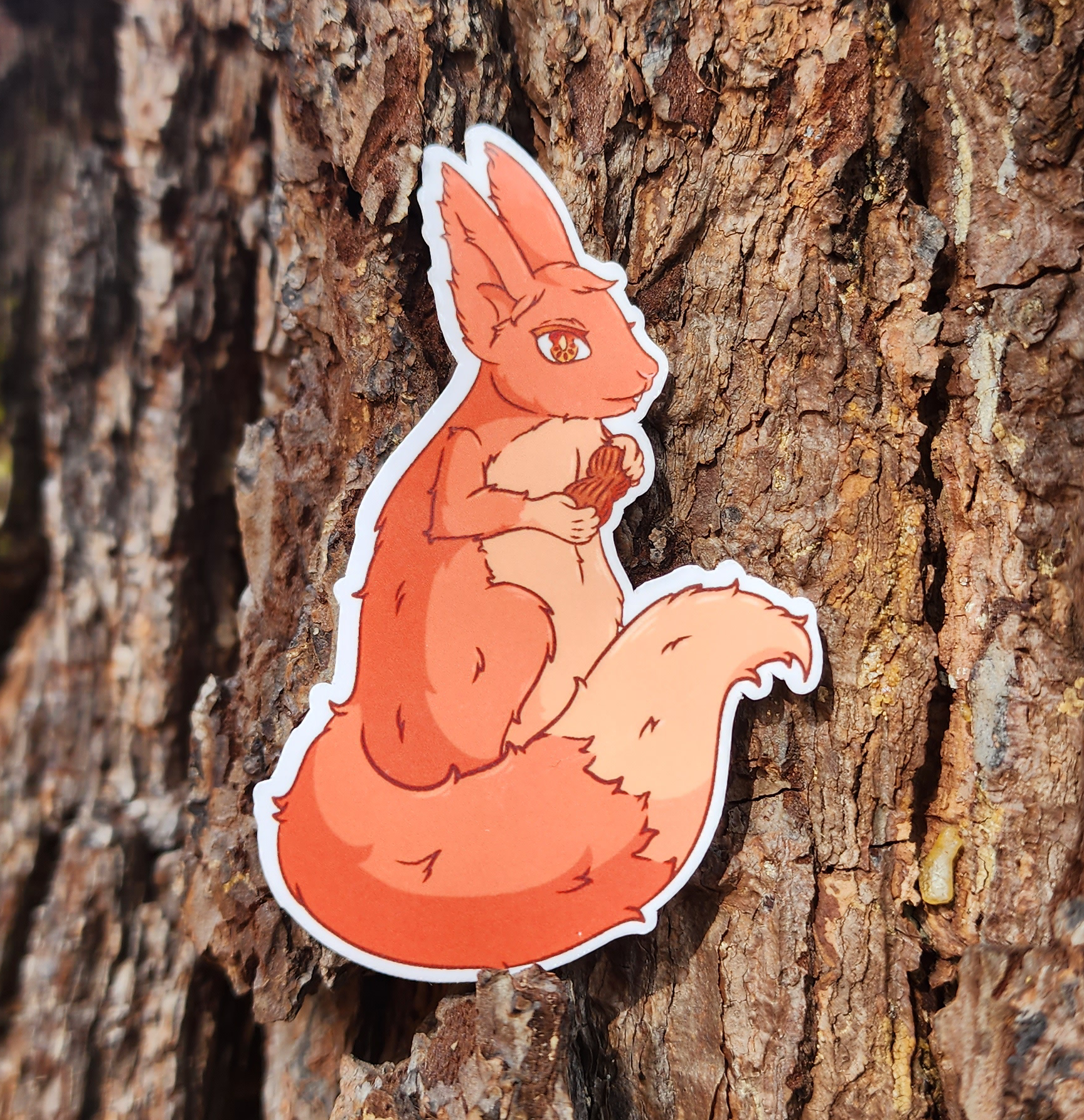 Sunshine The Squirrel