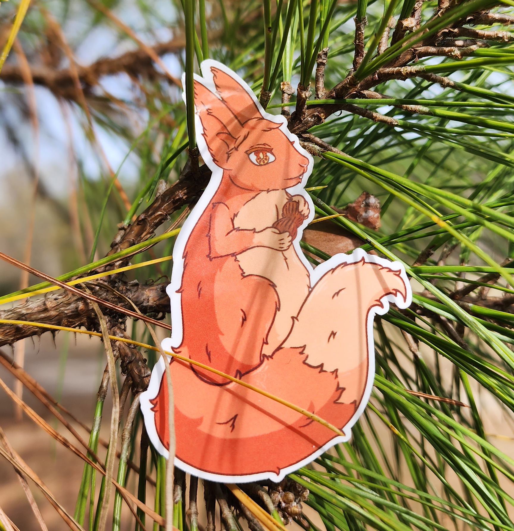 Sunshine The Squirrel