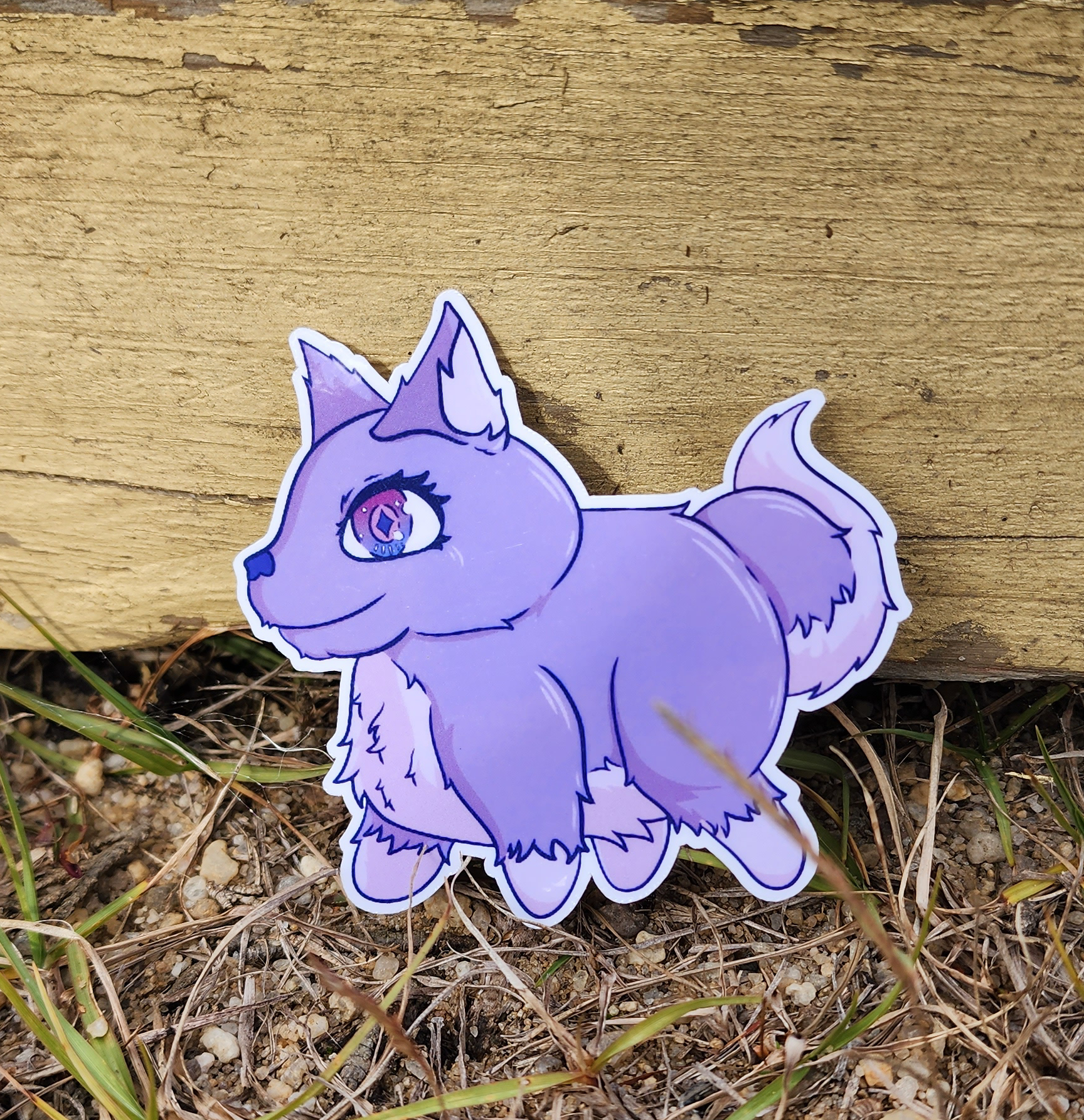 Chichi The Chatty Chihuahua