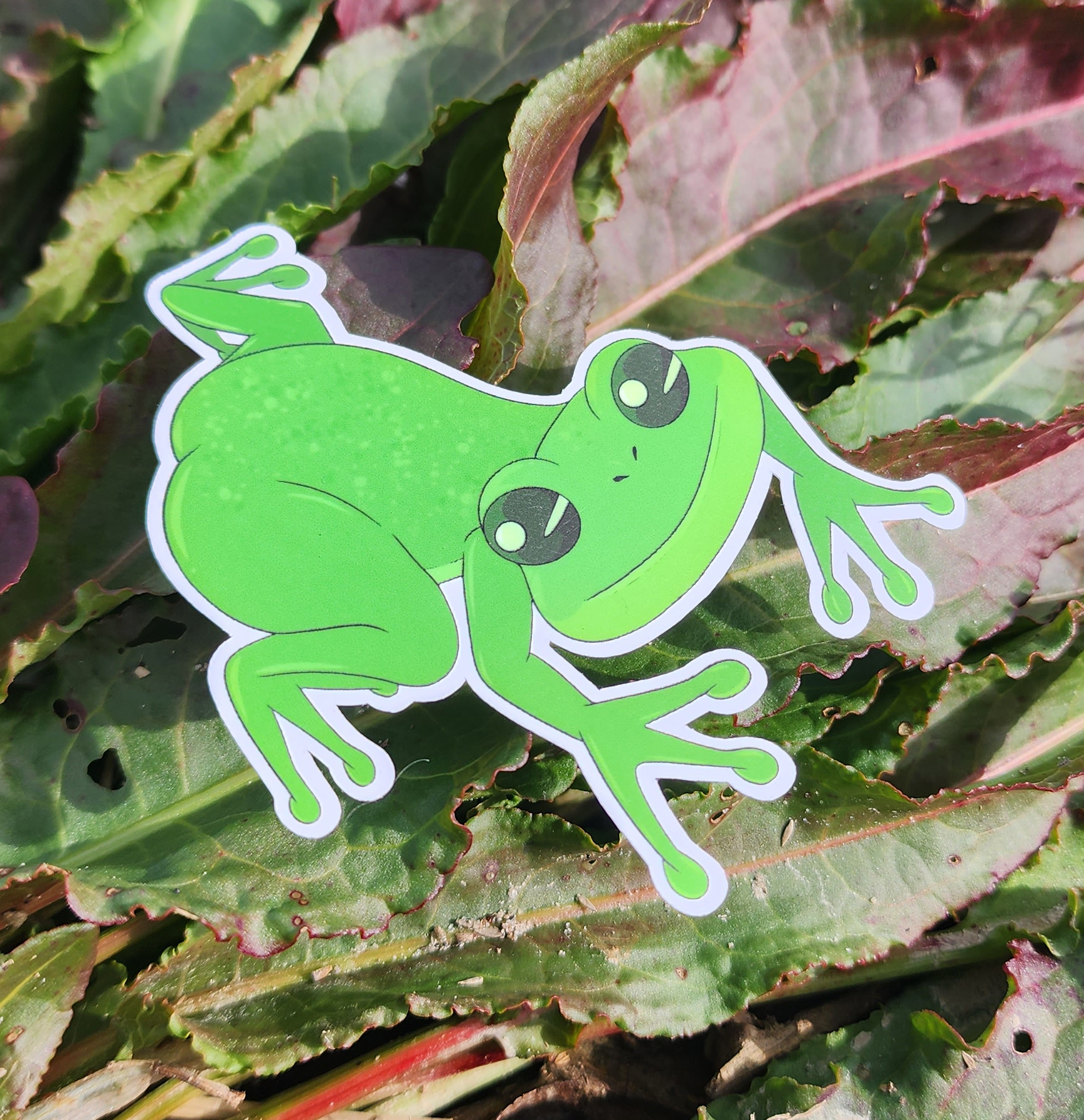 Hopper The Happy Tree Frog