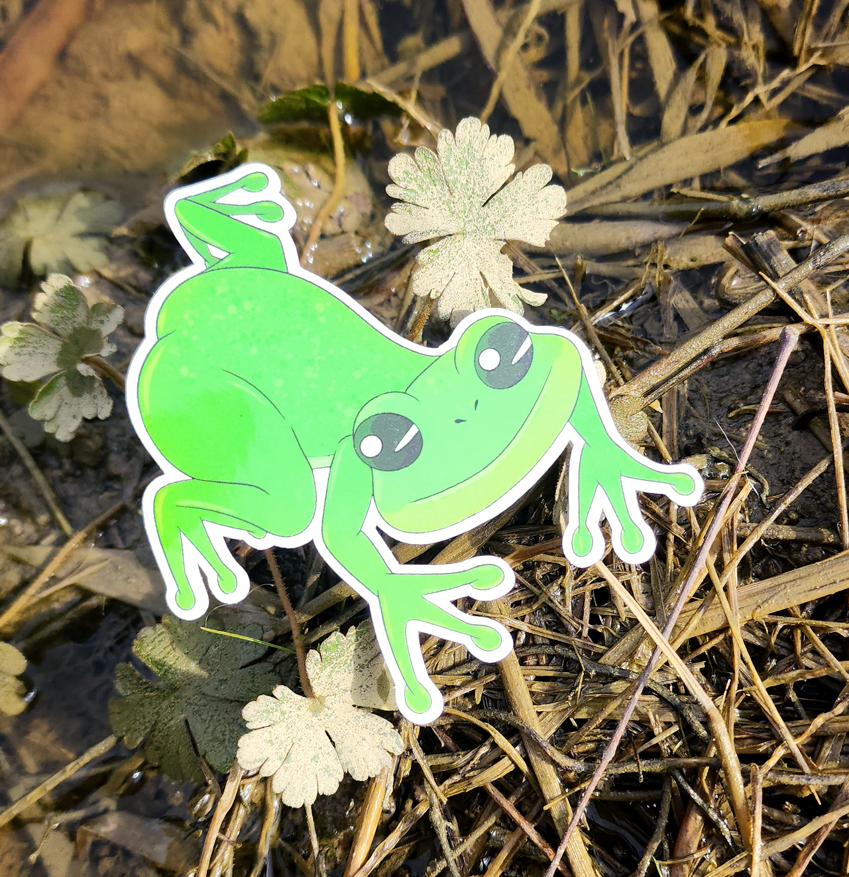 Hopper The Happy Tree Frog 