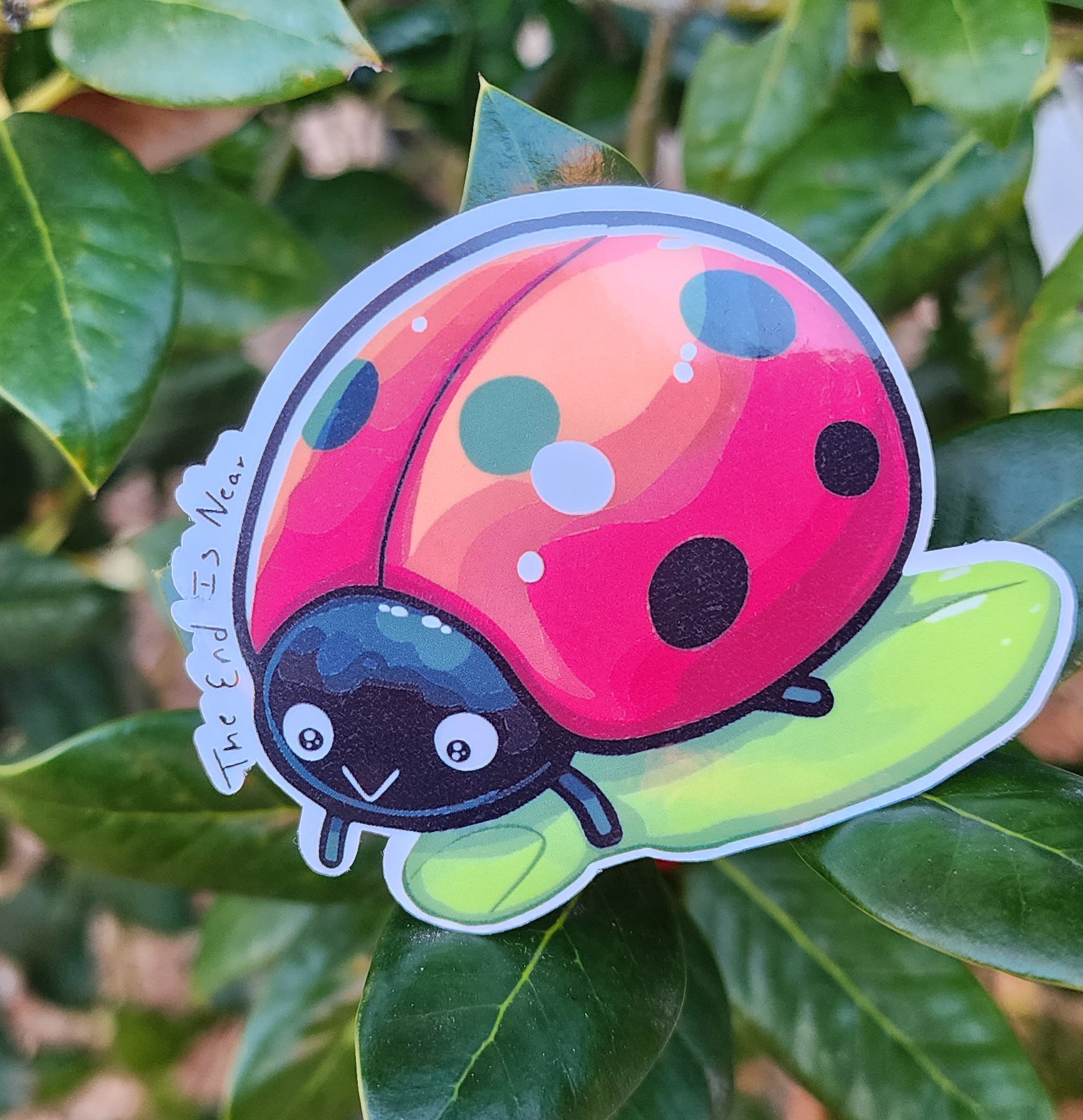 Lady Bug The End Is Near Funny Sticker