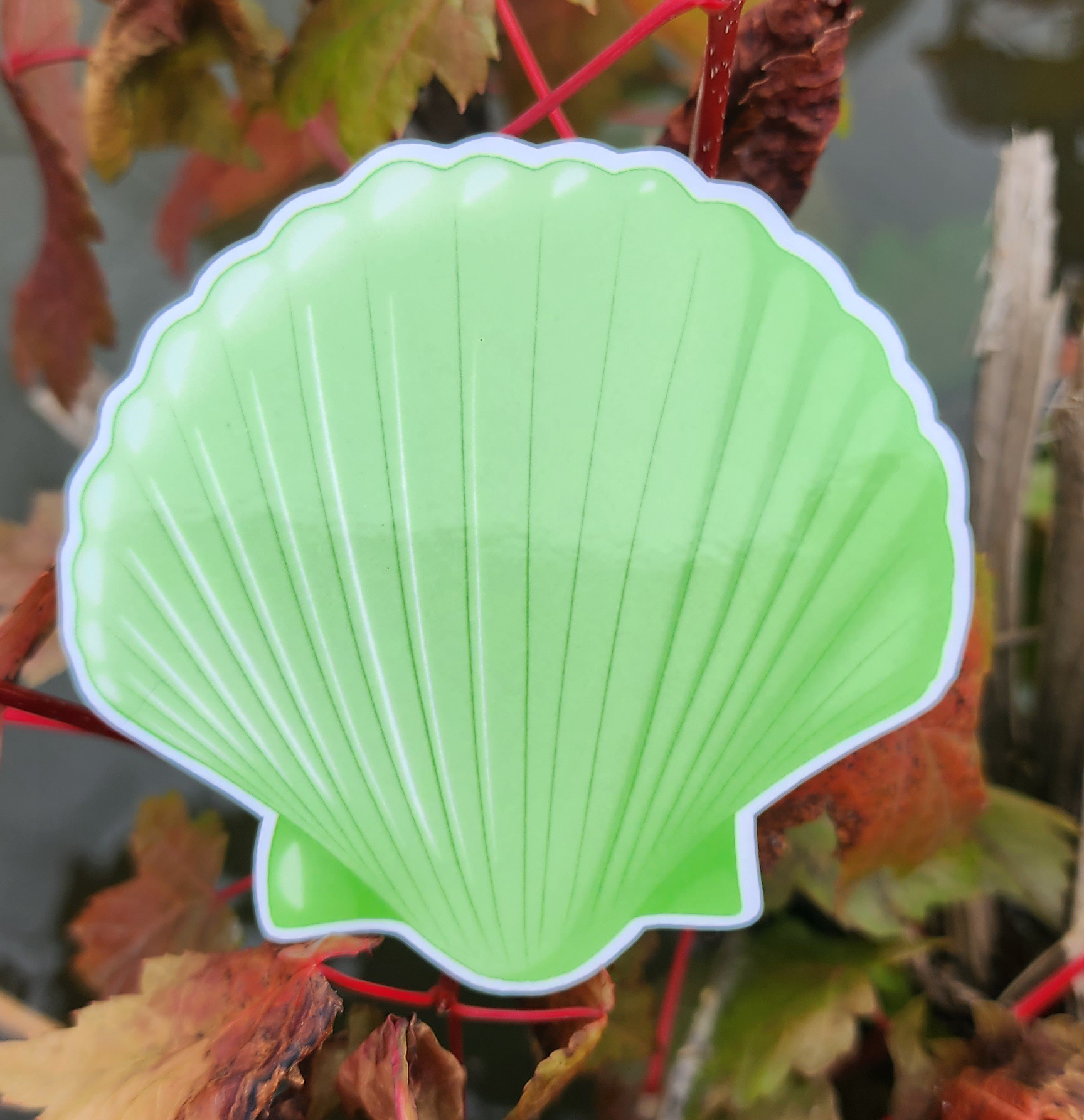 Green Shell