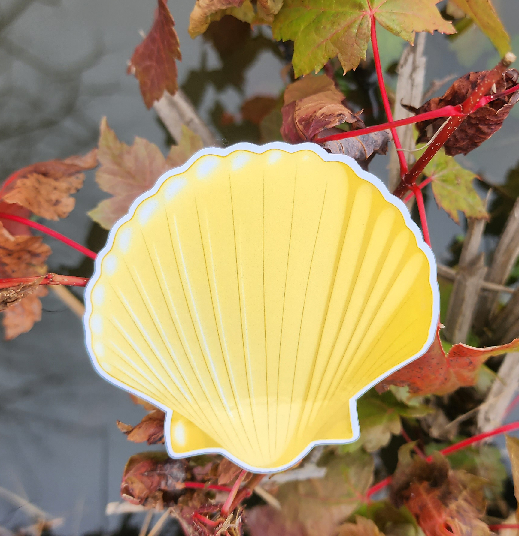 Yellow Shell