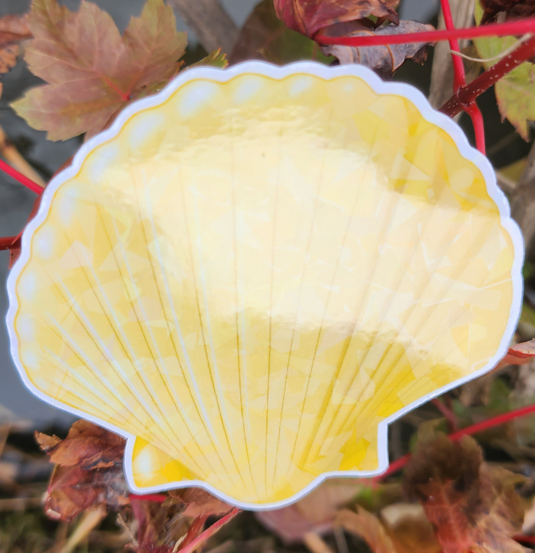 Yellow Shell