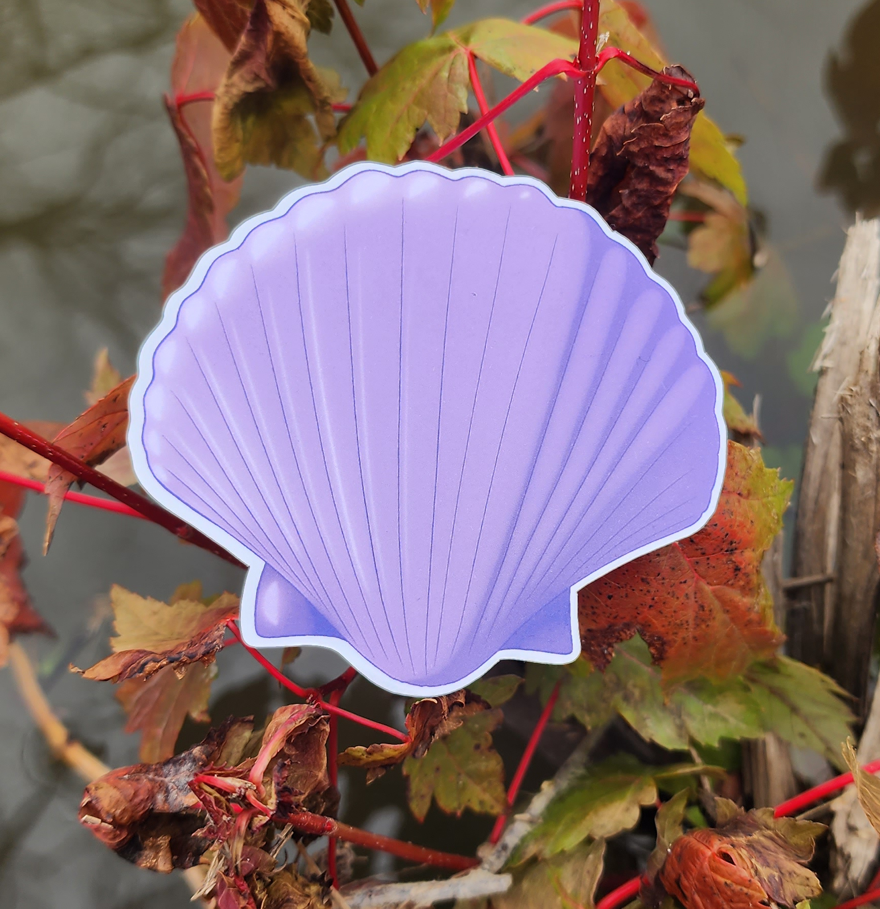 Purple Shell