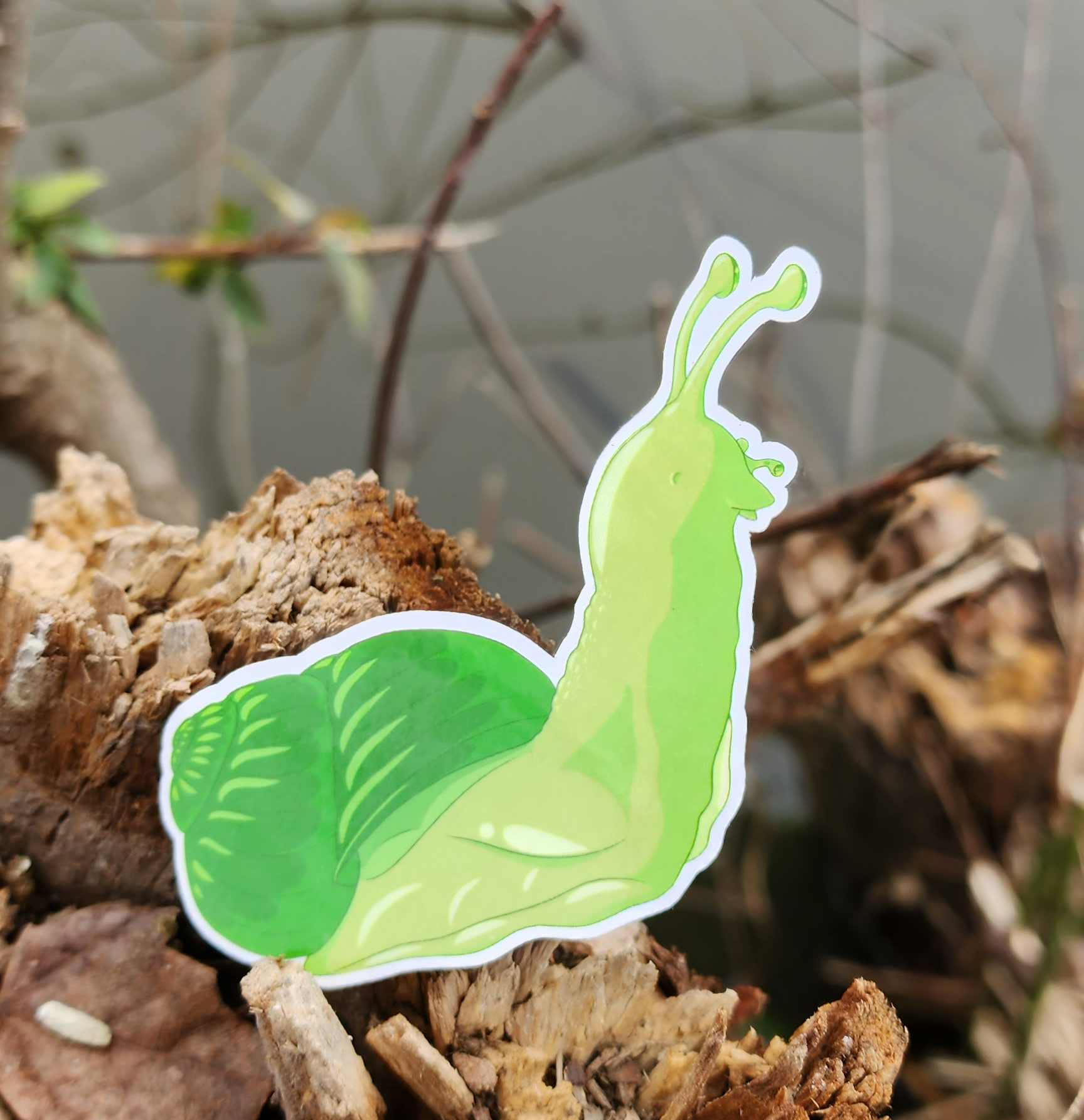 Green Snail Looking Forward