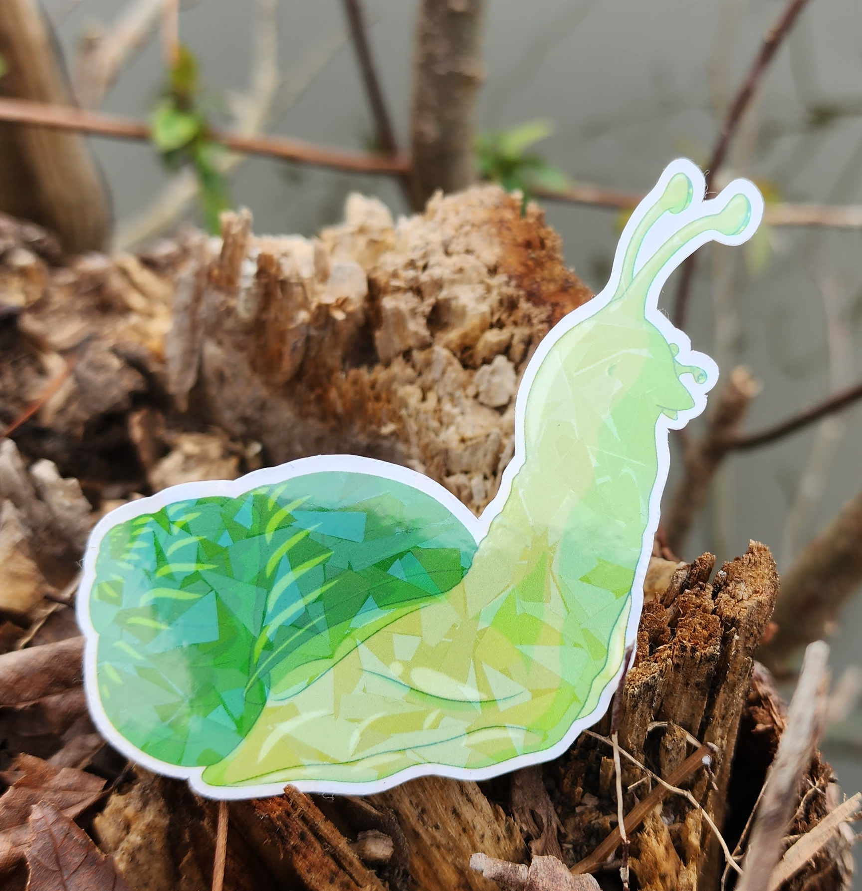 Green Snail Looking Forward