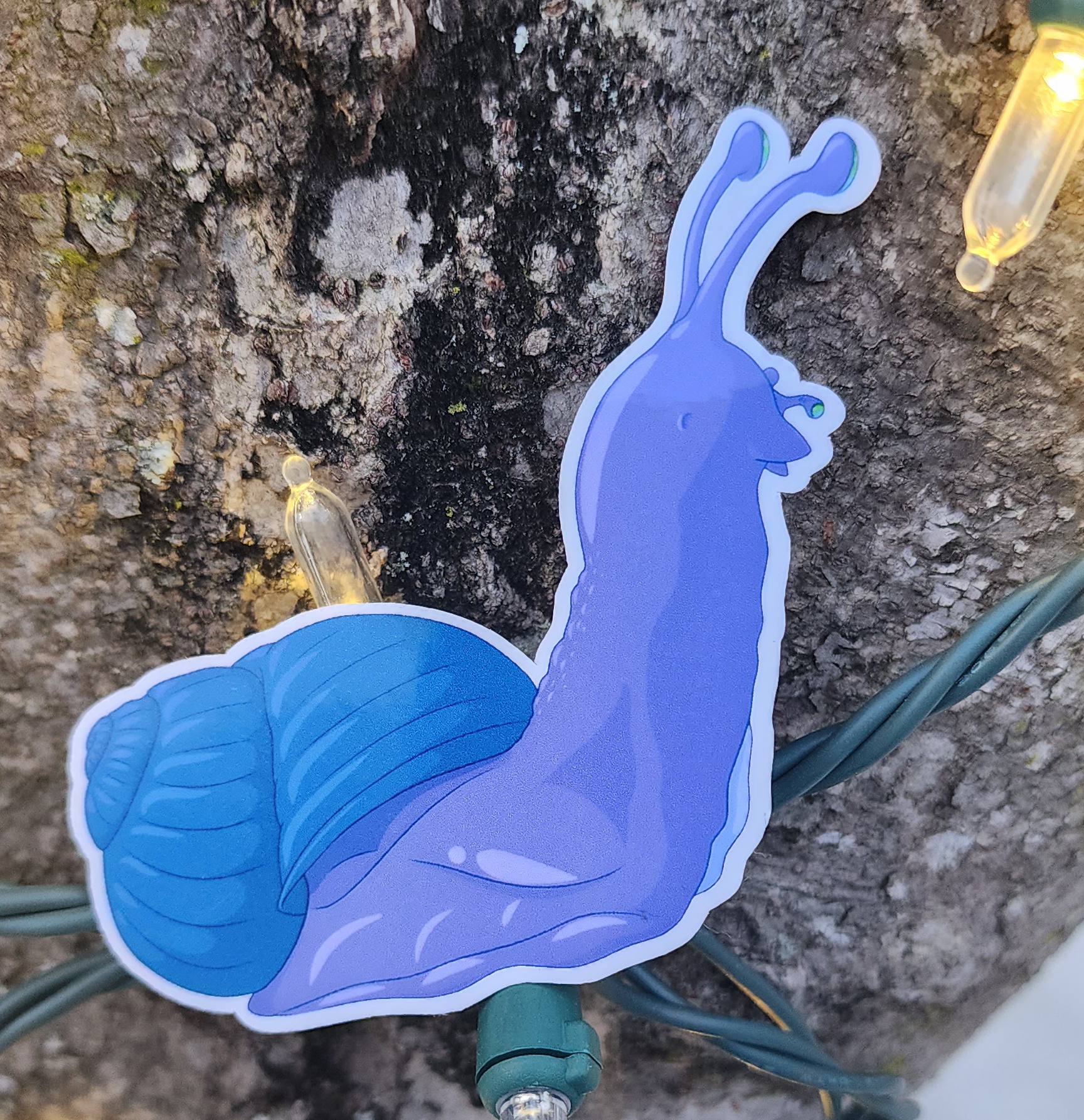 Purple Snail Looking Forward