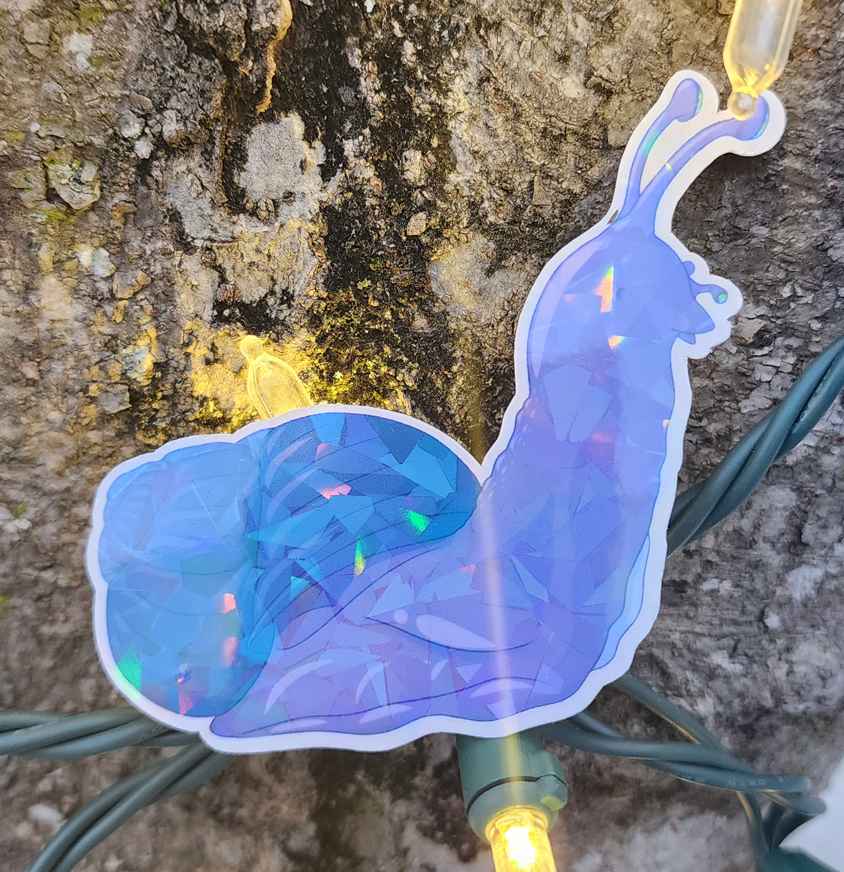 Purple Snail Looking Forward