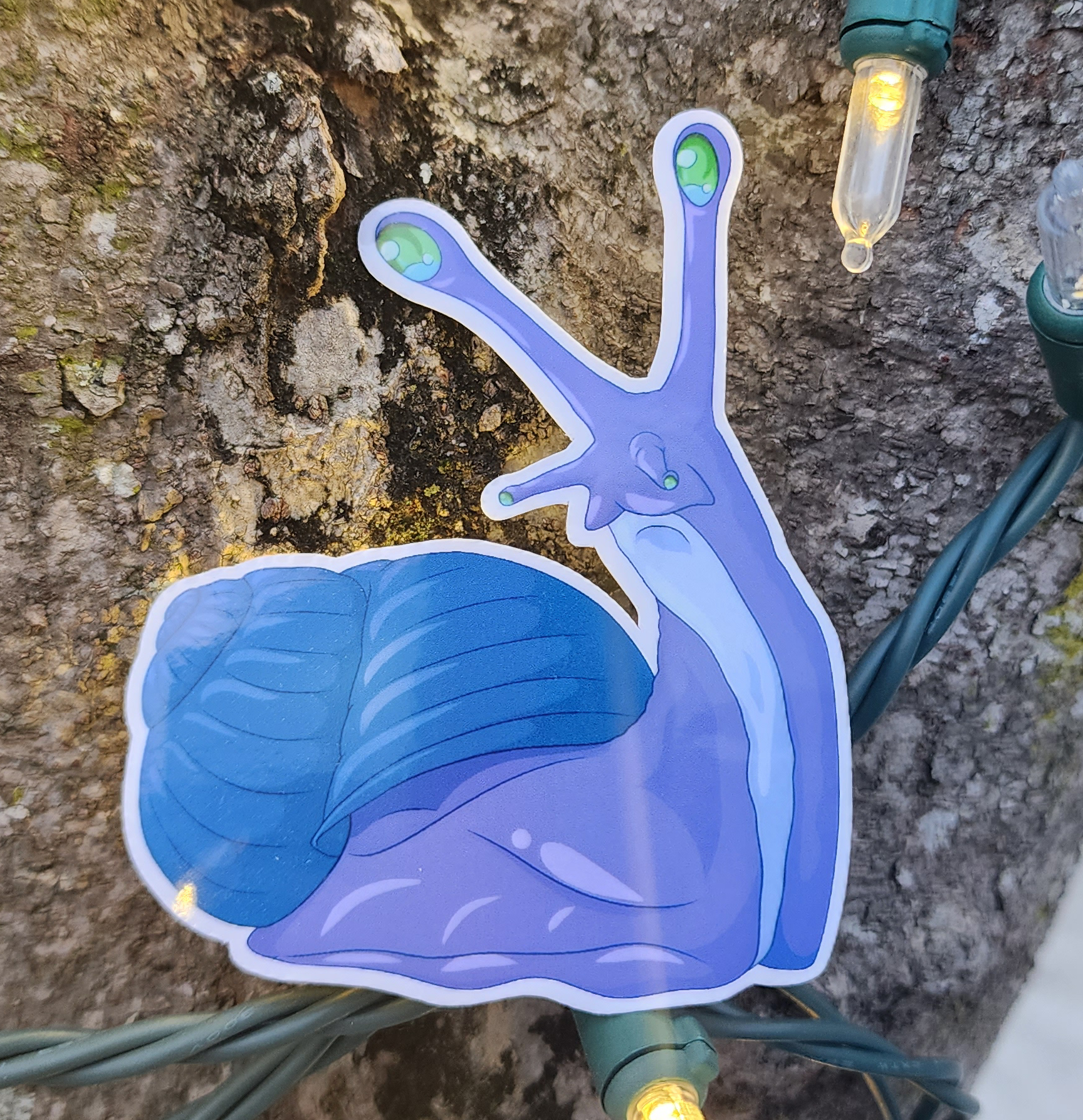 Purple Snail Looking Back