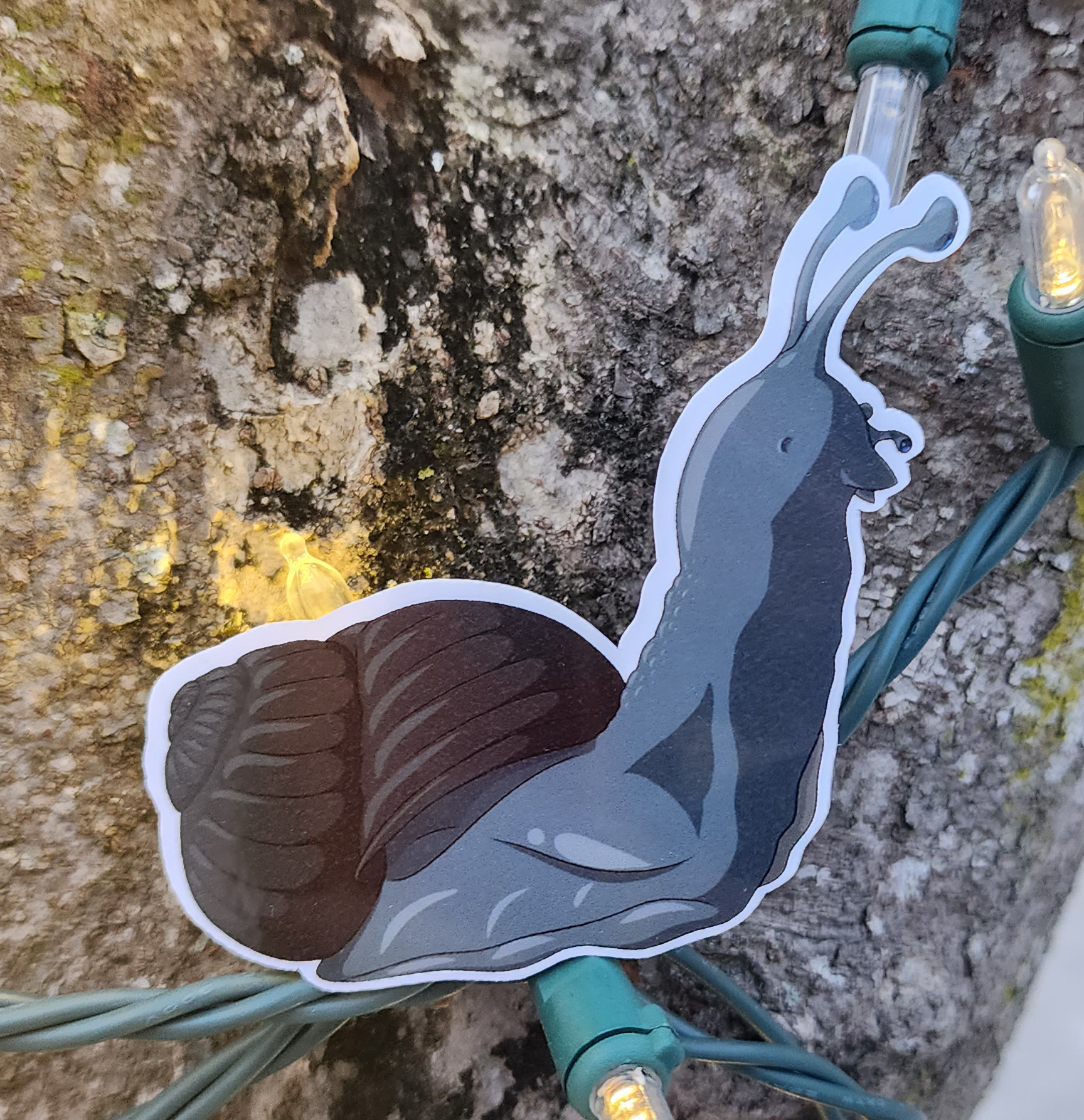 Black Snail Looking Forward