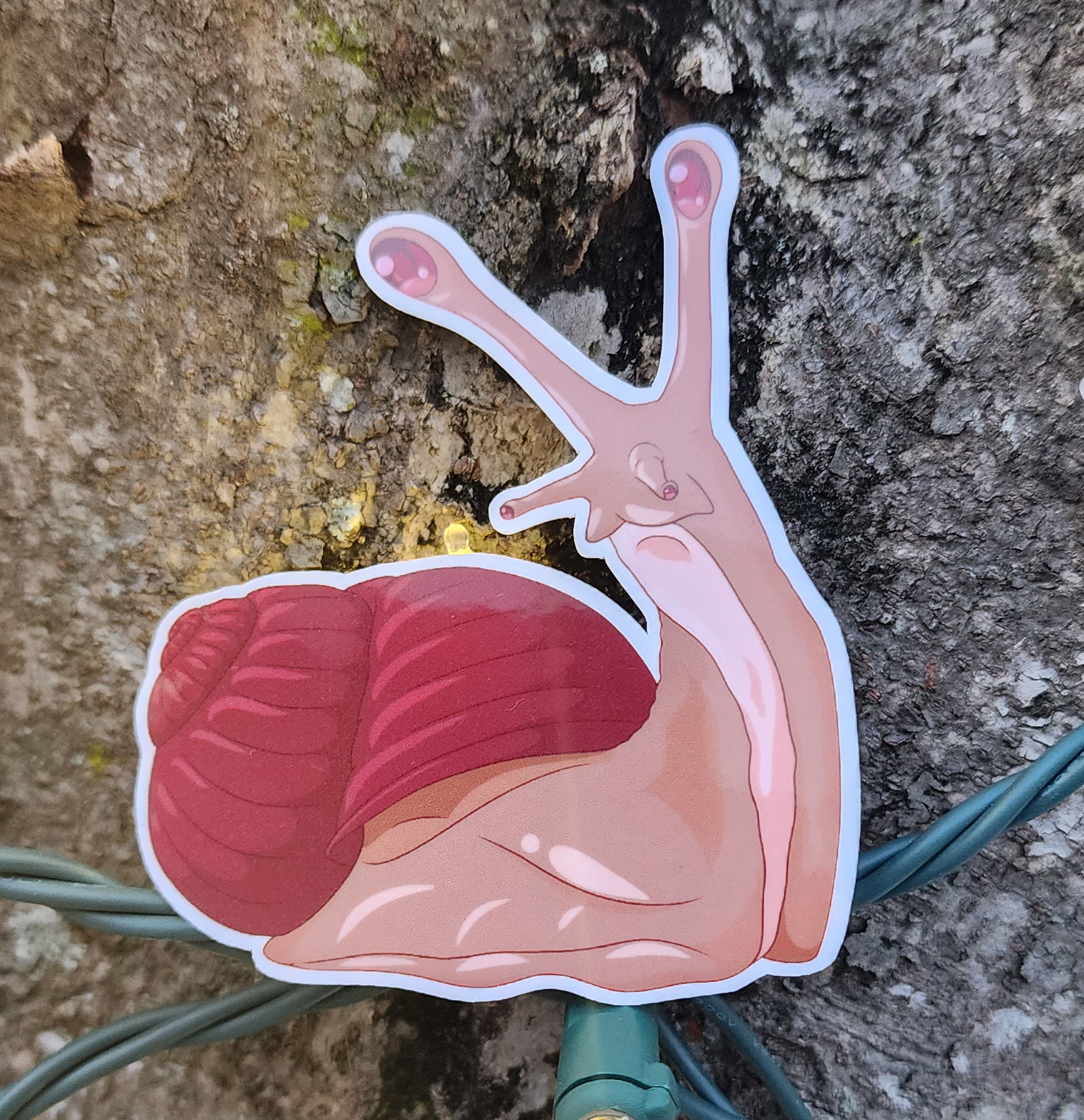 Red Snail Looking Back