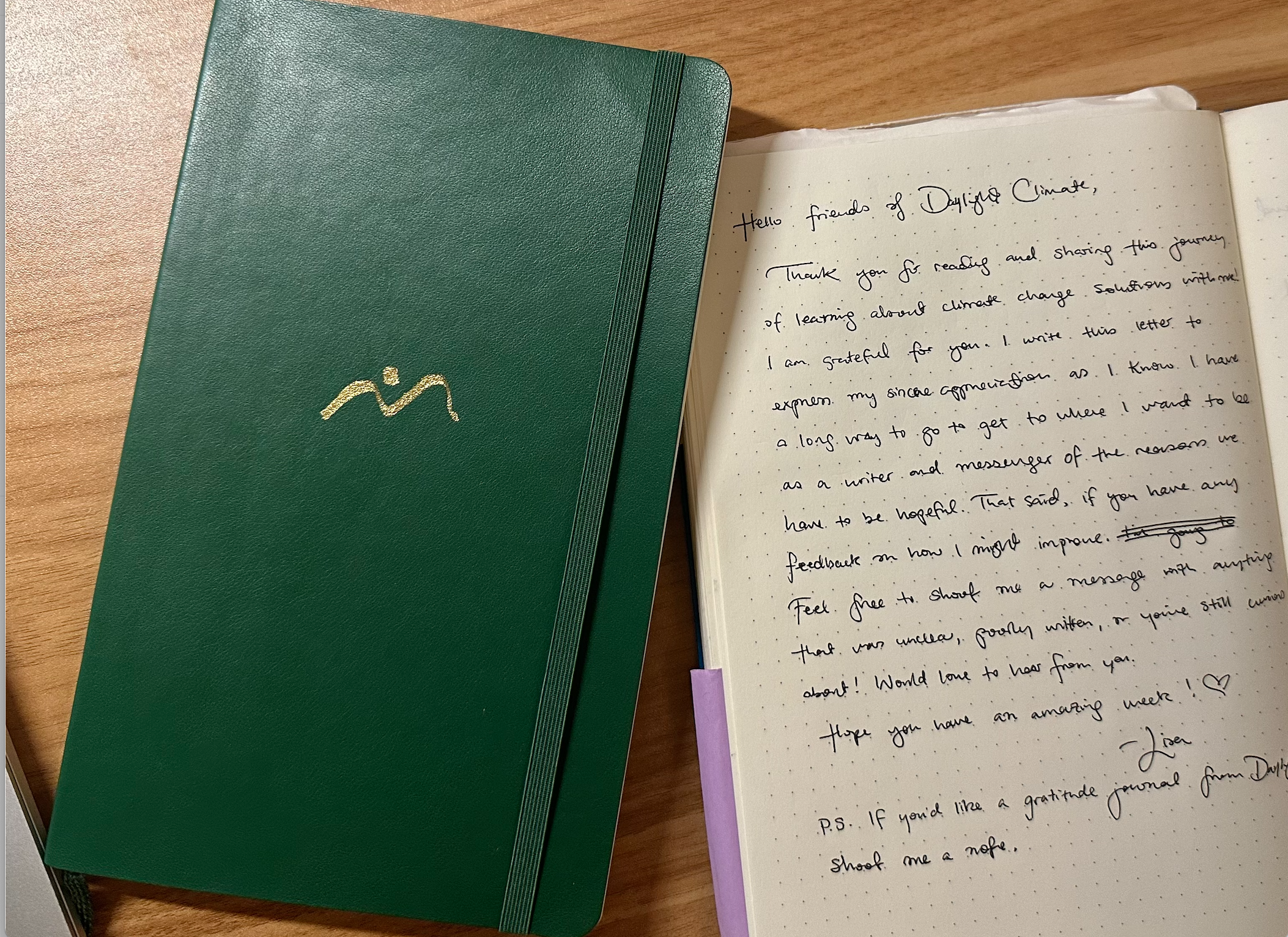 Daylight Gratitude Journal