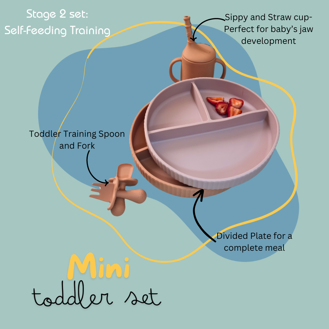 All-in-one Feeding Set | مجموعة الطعام الكاملة