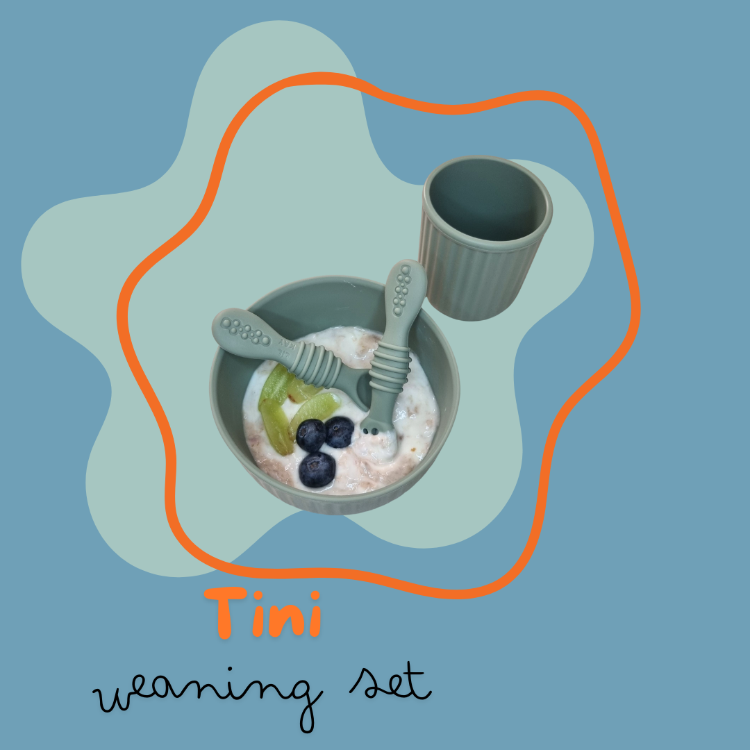 All-in-one Feeding Set | مجموعة الطعام الكاملة