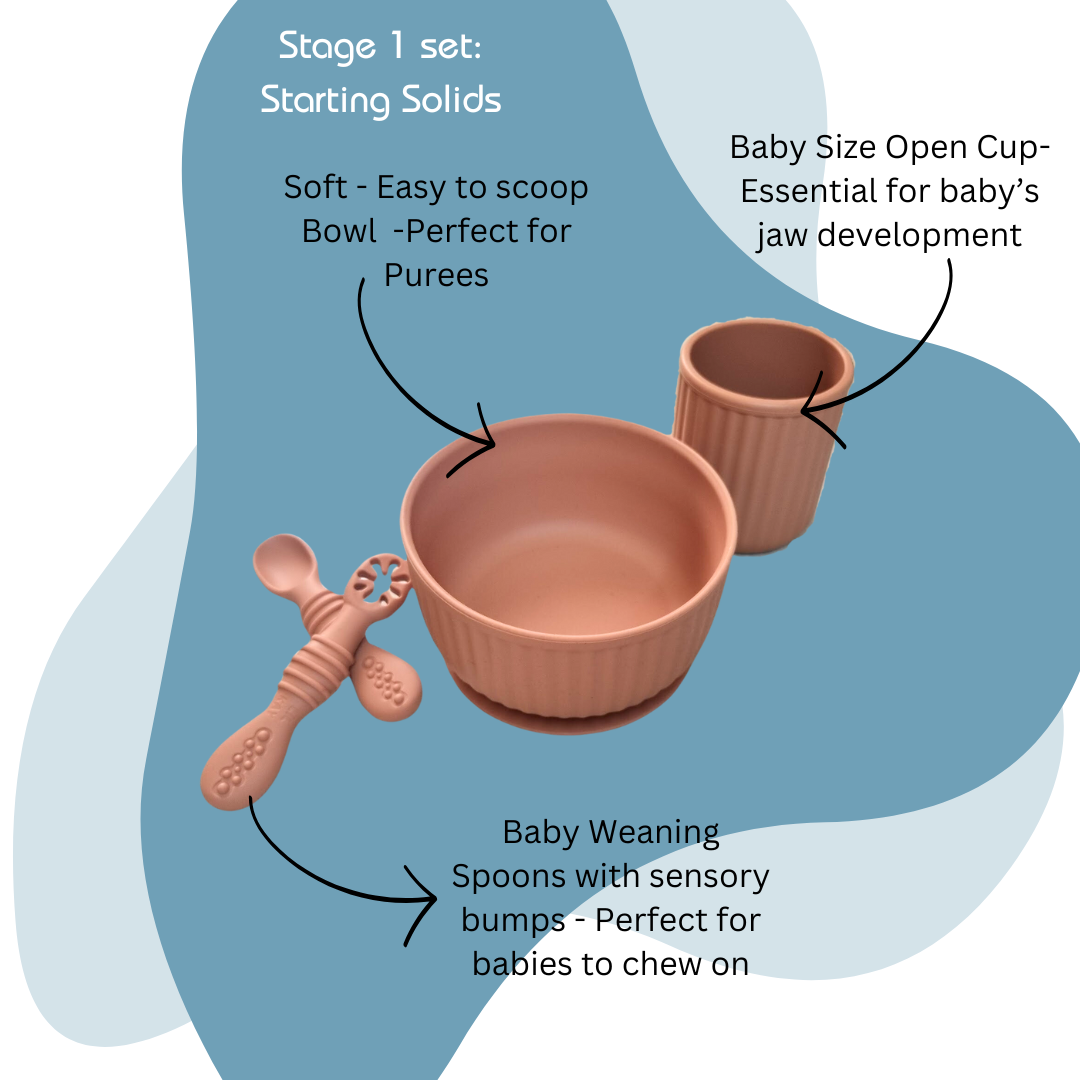All-in-one Feeding Set | مجموعة الطعام الكاملة