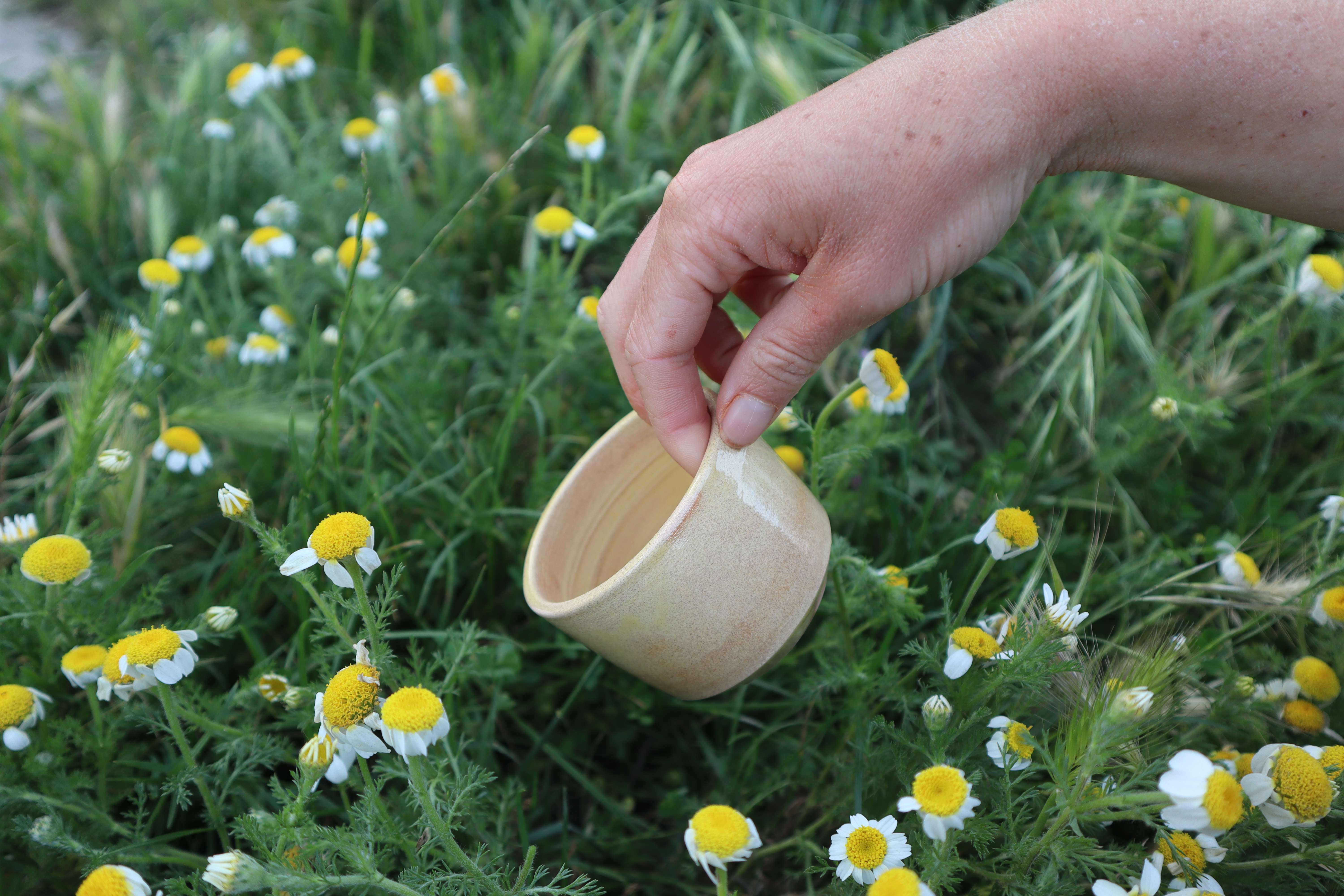 Tasse expresso miel