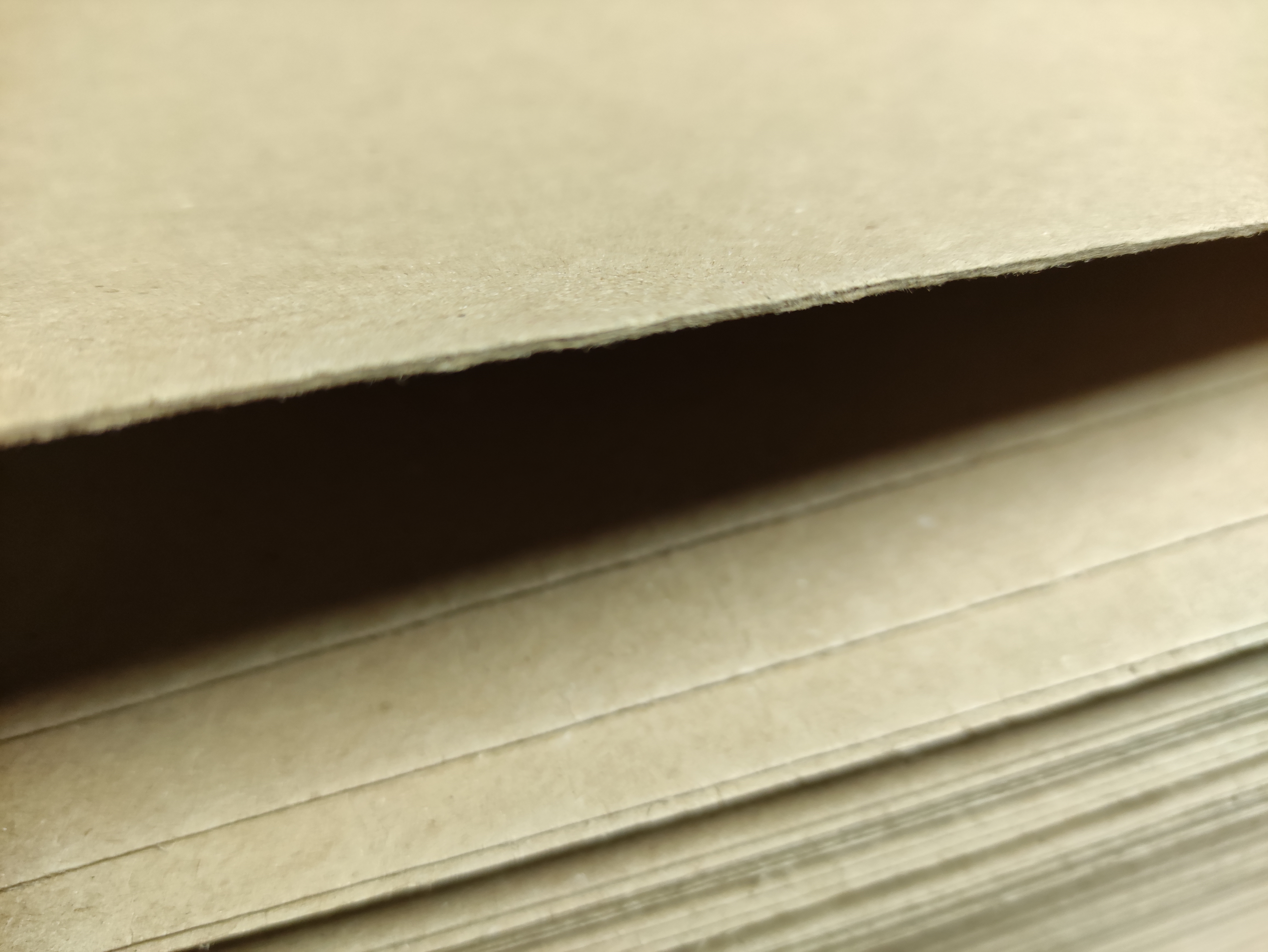 Baldinis kartonas 1,6mm storumo 1100mm x 1500mm