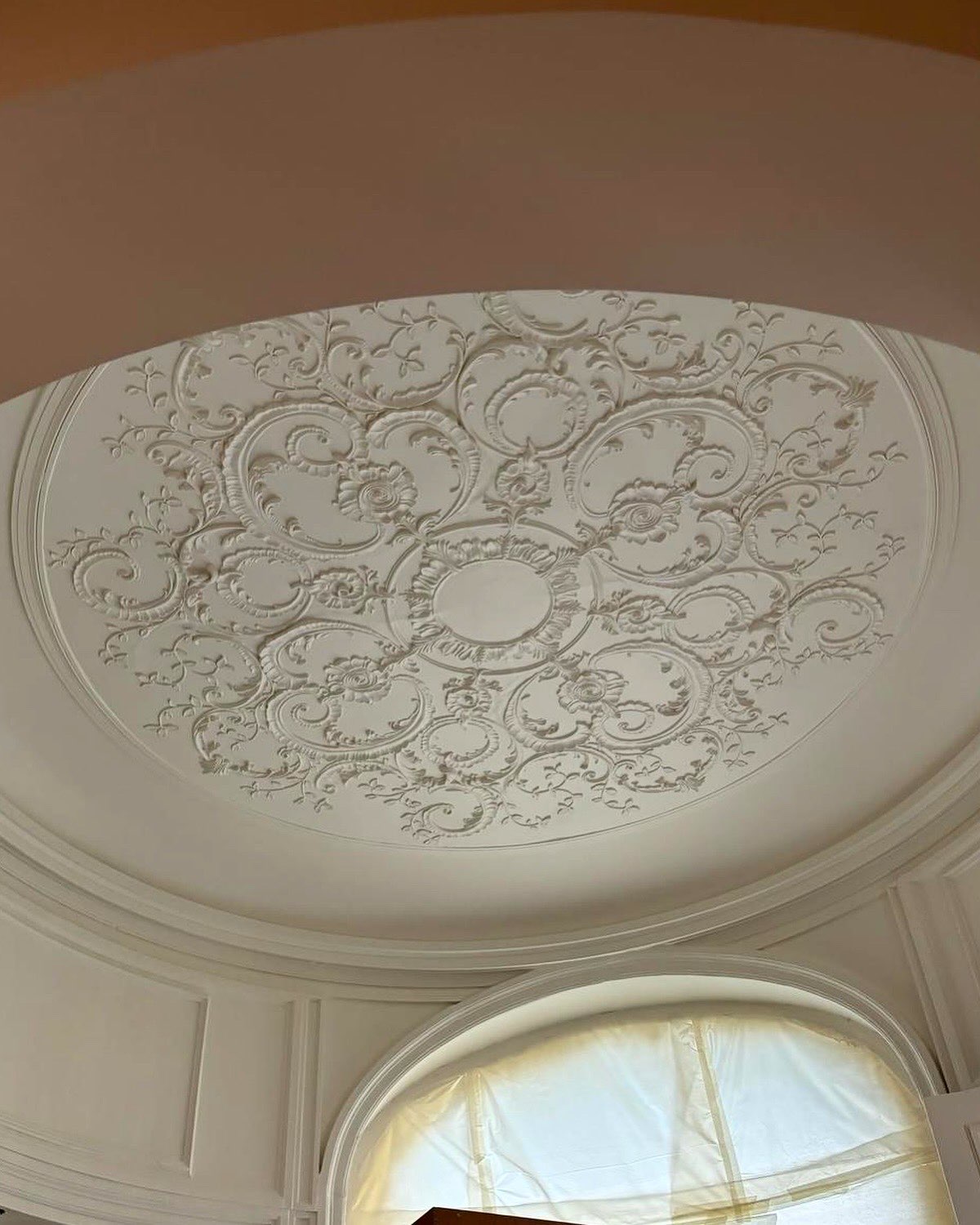 PROMO ! -20% ! Très grande rosace R250 - diamètre 250 cm