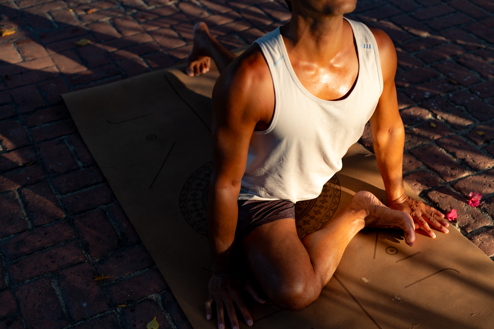 Virtual Zoom Hatha Yoga Class ~ Monthly Membership Only