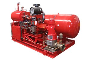 Pre-Packaged System with Vertical Fire Pump