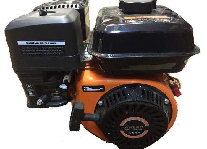 Benzininis variklis Astor 7,5ag