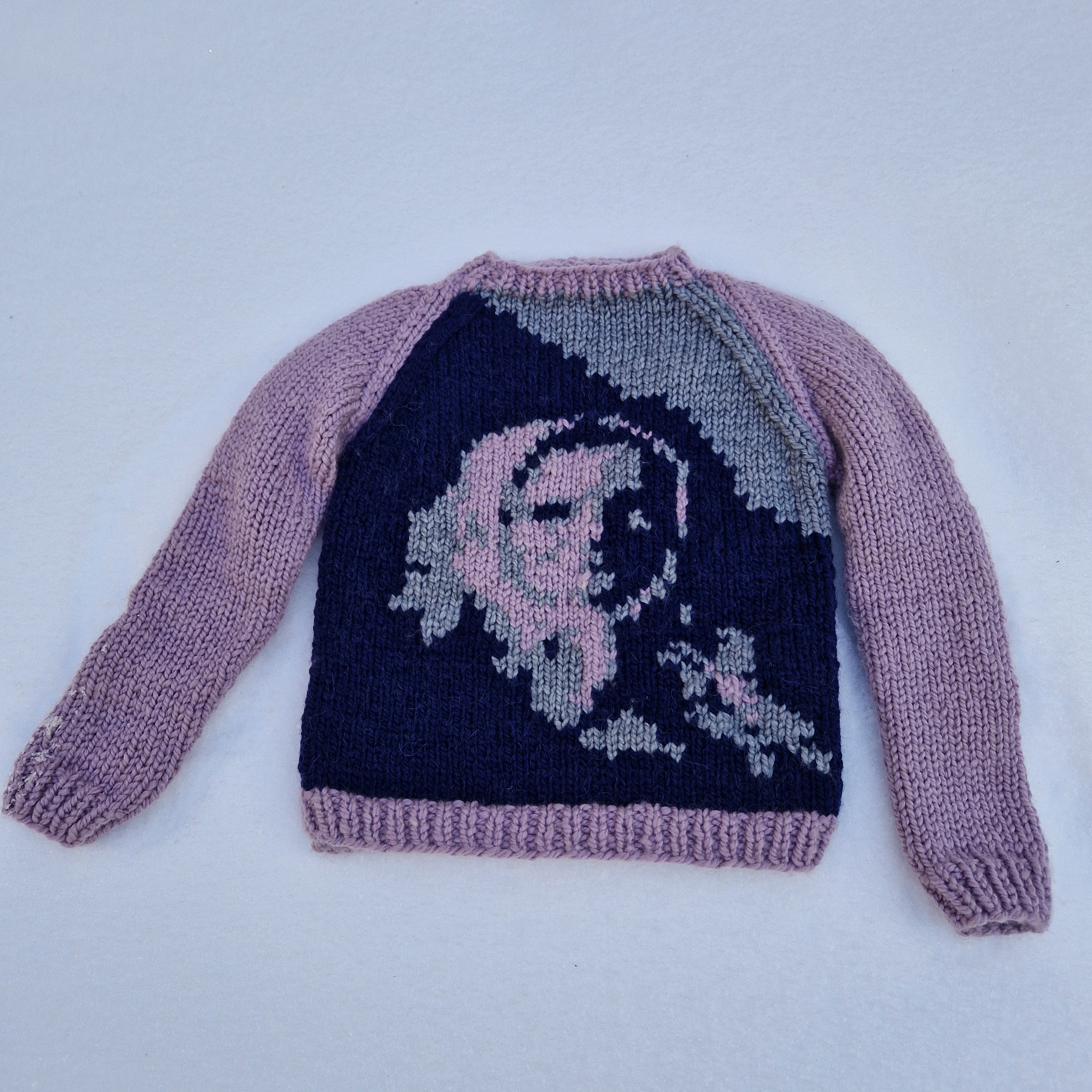 Žemaitė, megztinis