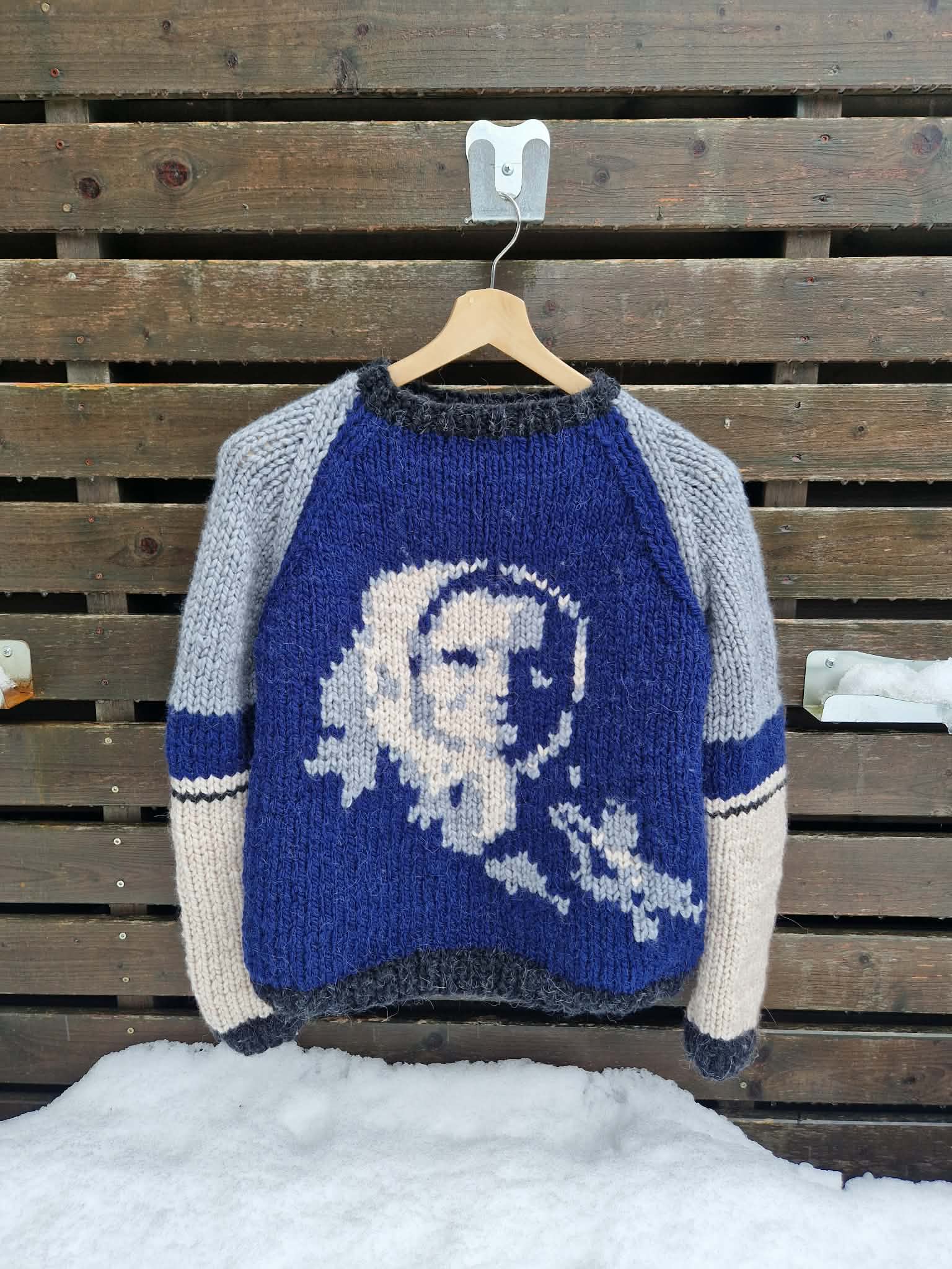 Žemaitė, margas megztinis