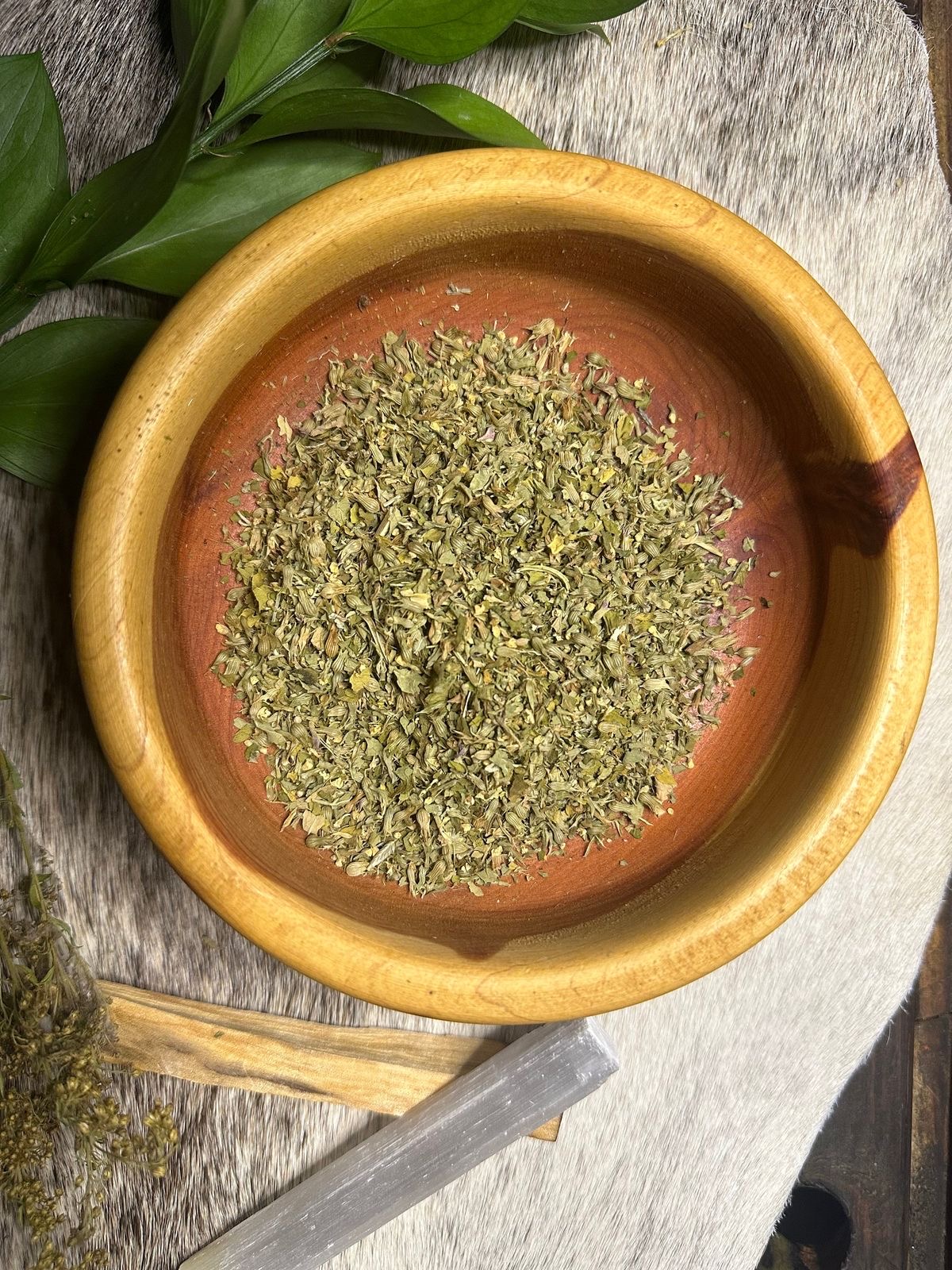 CATNIP 