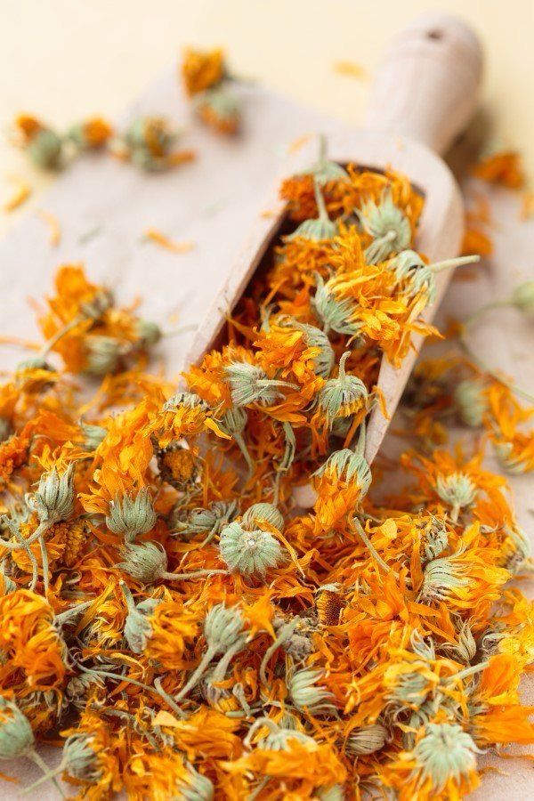 MARIGOLD FLOWER