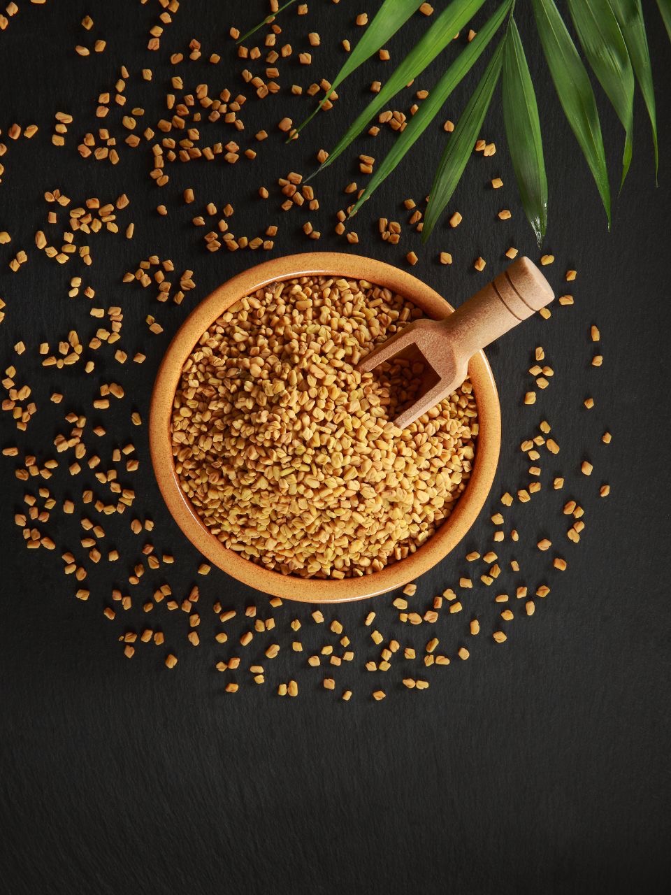 FENUGREEK SEED