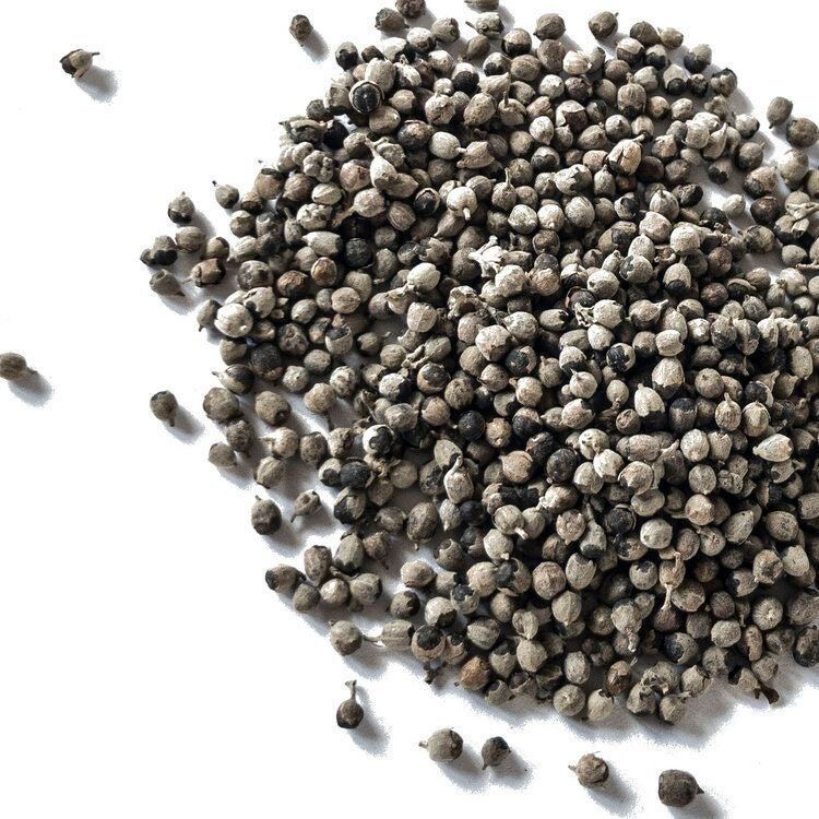Chasteberry Seed