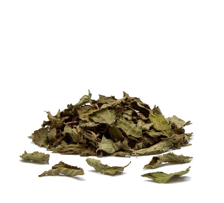 PEPPERMINT LEAVES