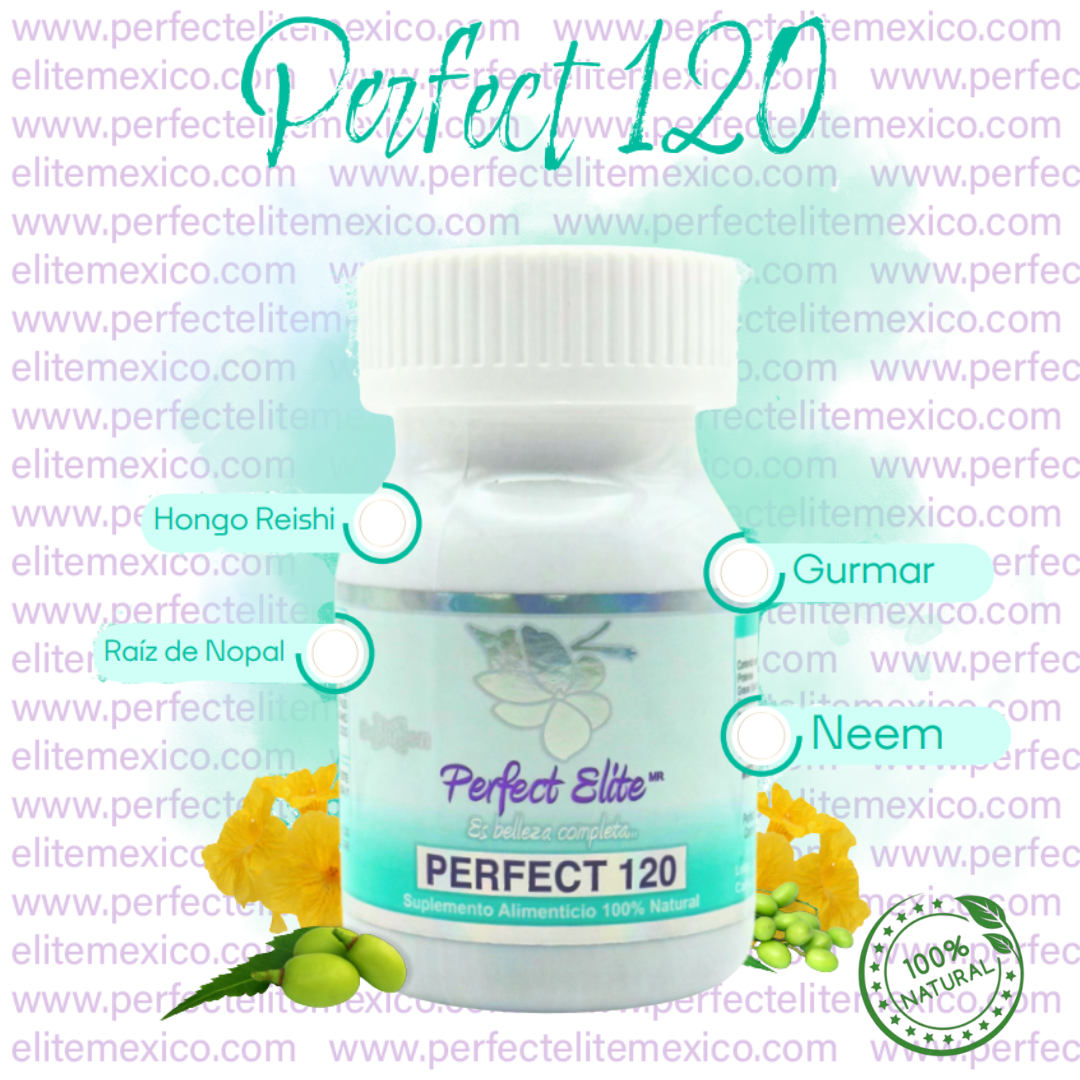 Perfect 120