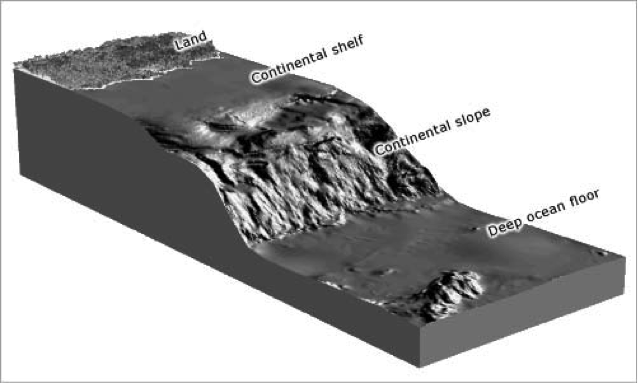 BATHYMETRY