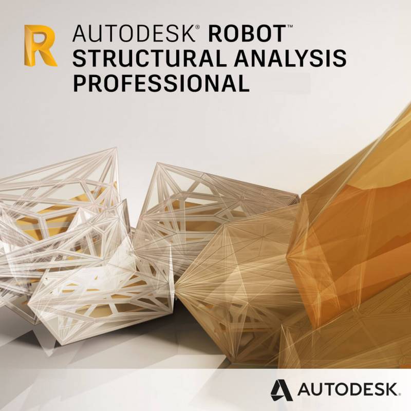 ROBOT STRUCTURAL ANALYSIS PROFESSIONAL